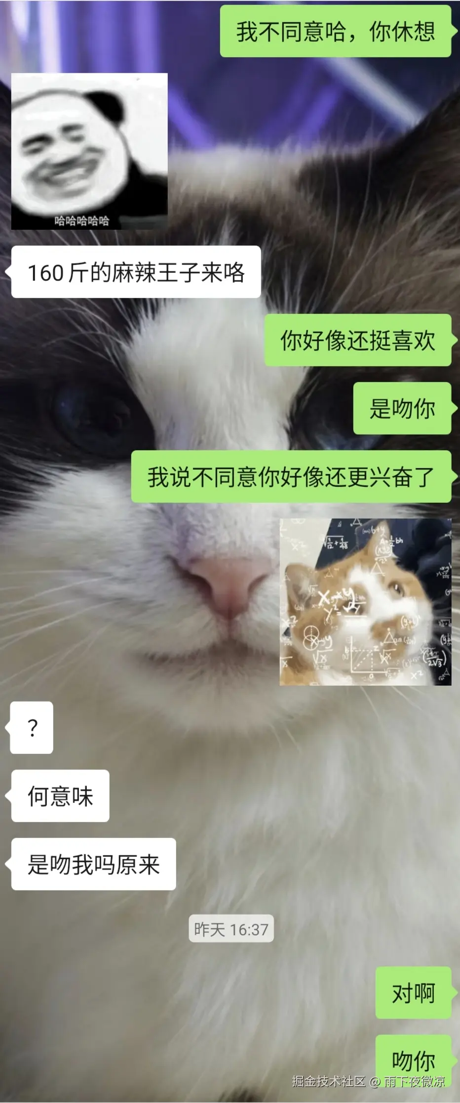 雨下夜微凉于2026-03-31 10:59发布的图片