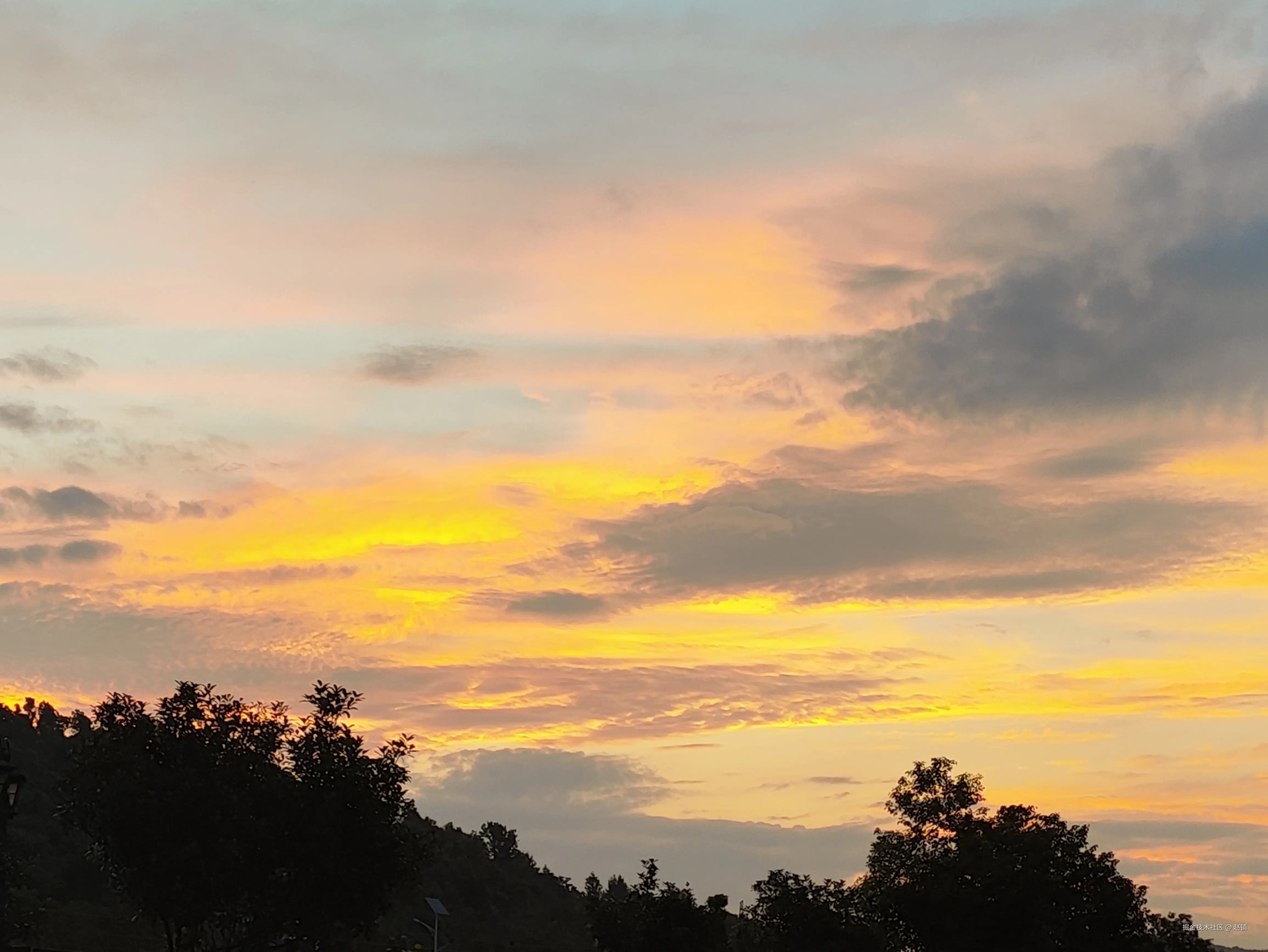 赵镇于2024-08-01 09:49发布的图片