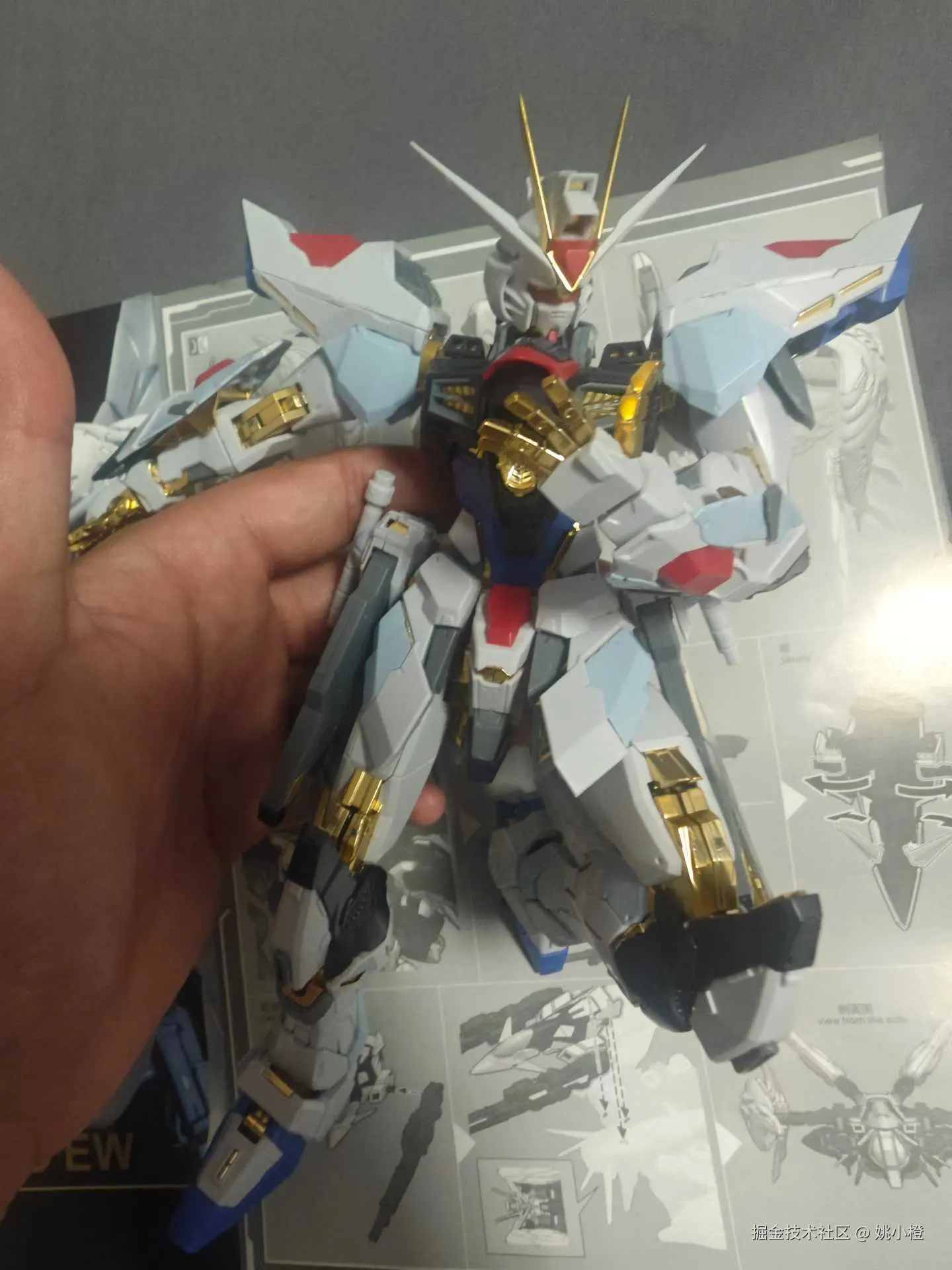 姚小橙于2025-11-11 09:34发布的图片