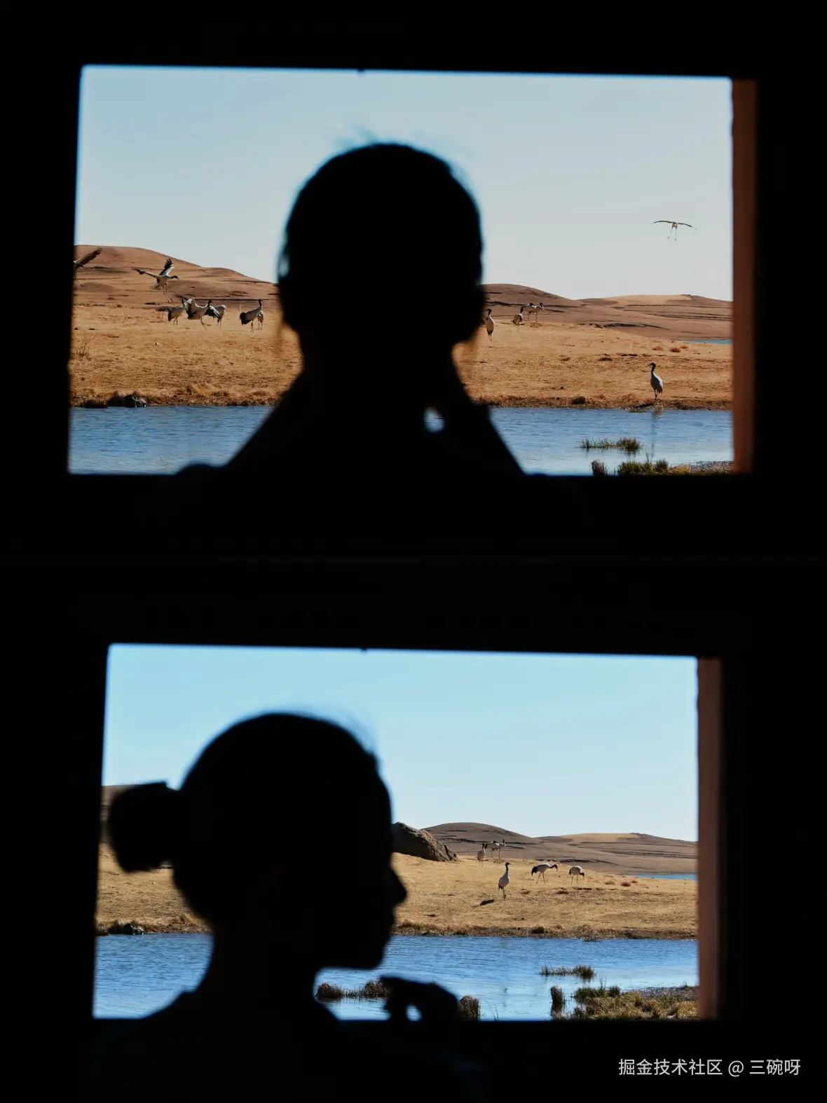 三碗呀于2026-03-05 13:33发布的图片