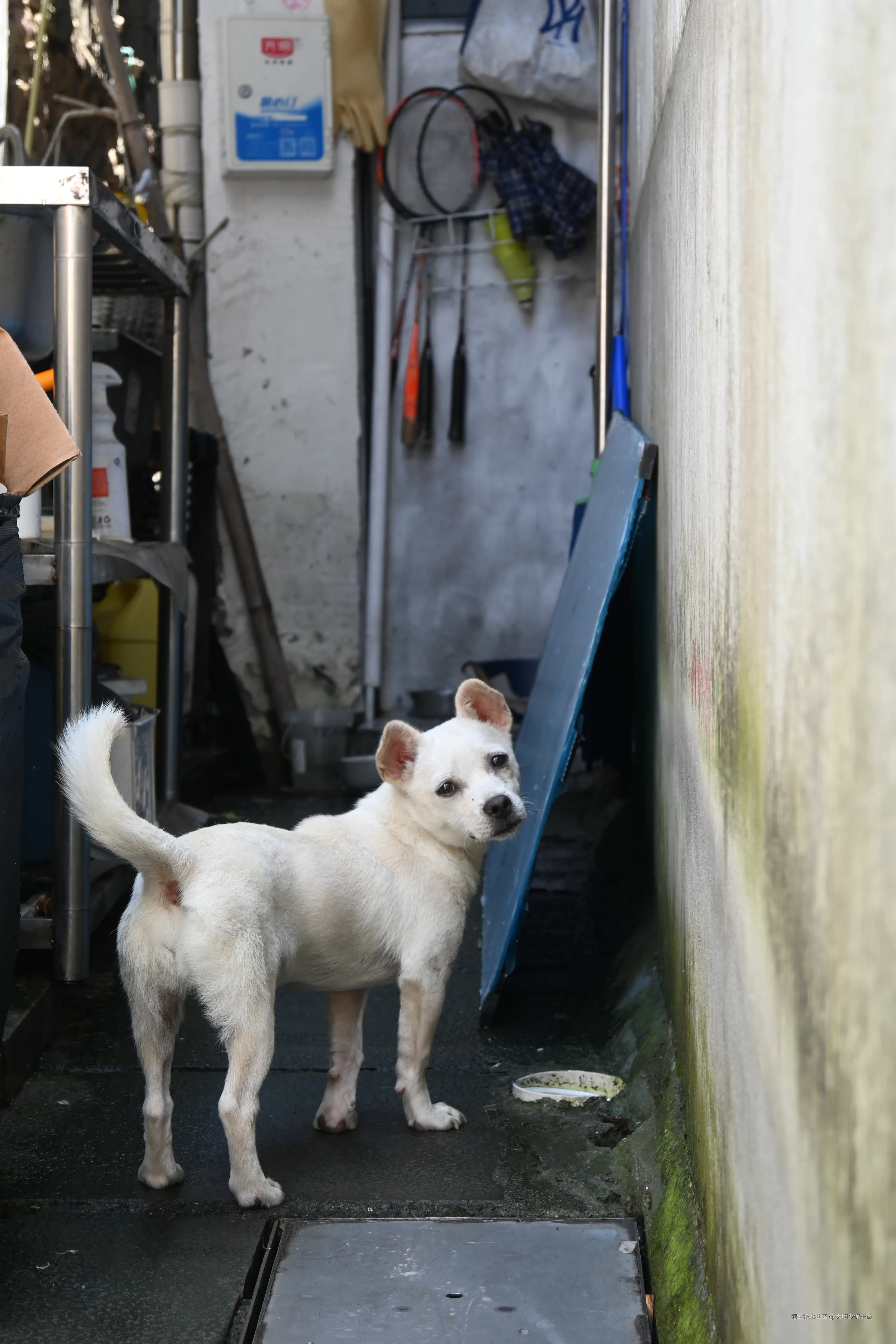 大明少保于谦于2025-07-02 11:33发布的图片