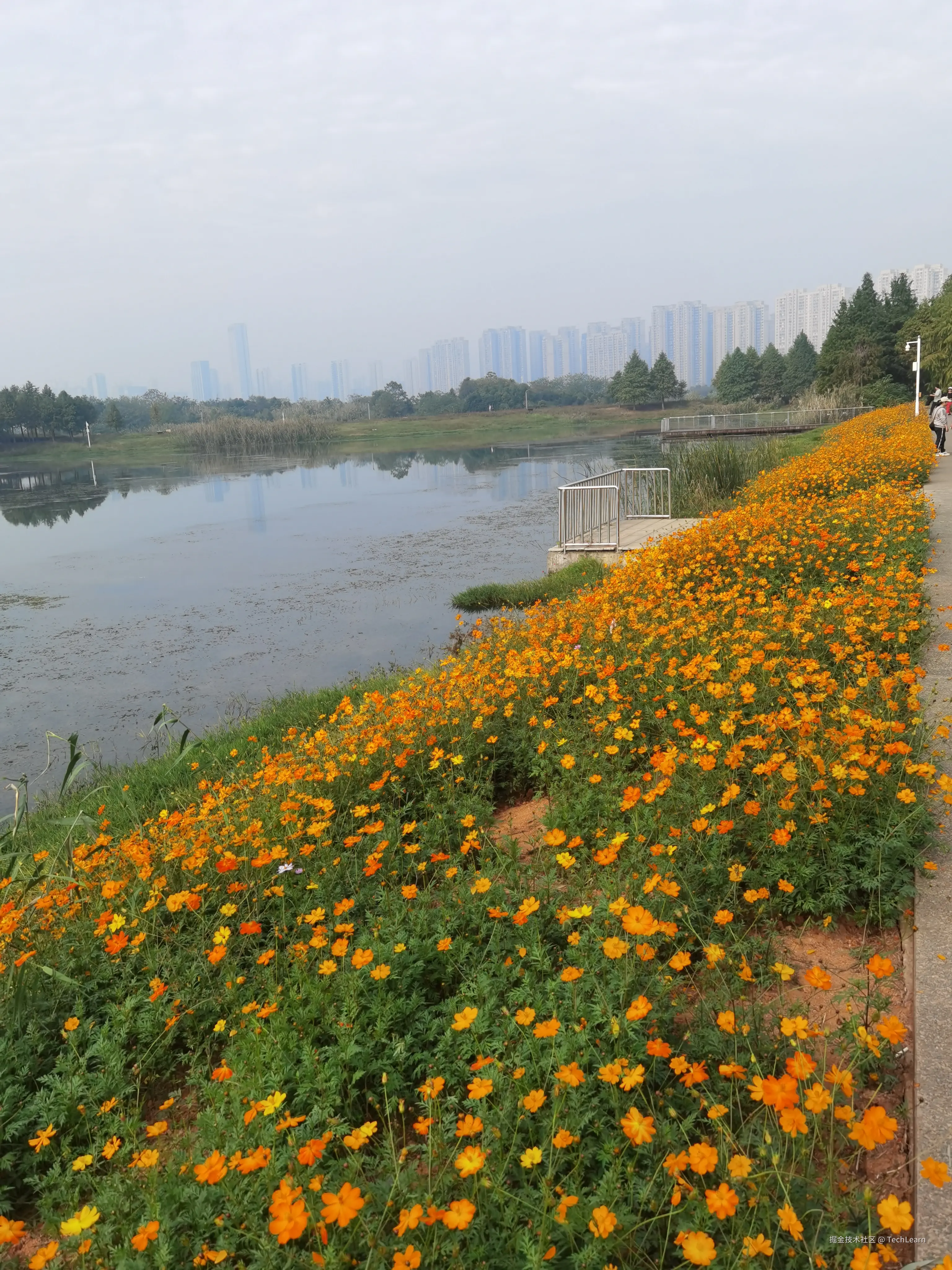 TechLearn于2024-11-09 09:36发布的图片