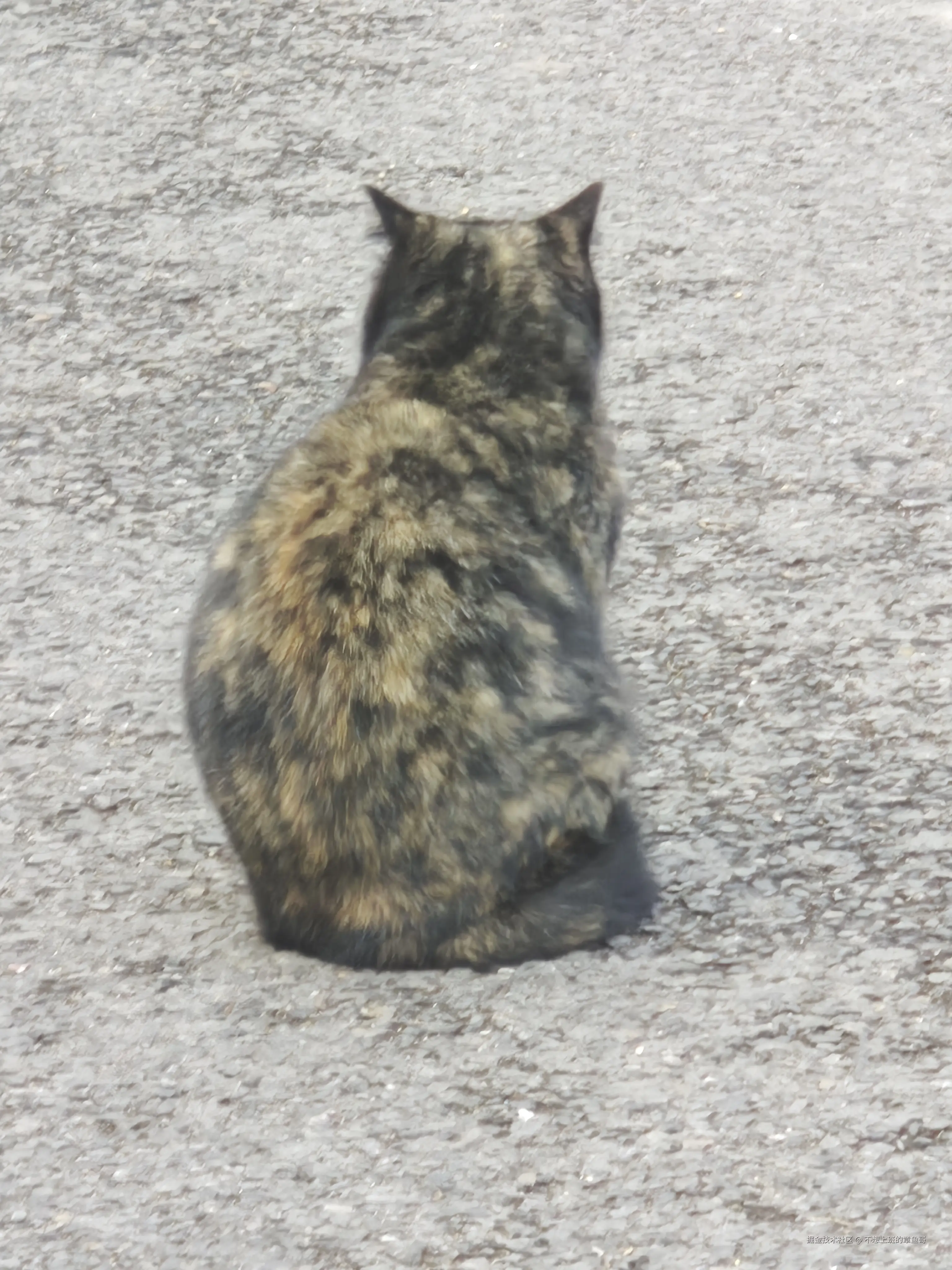 不想上班的章鱼哥于2025-04-21 09:15发布的图片