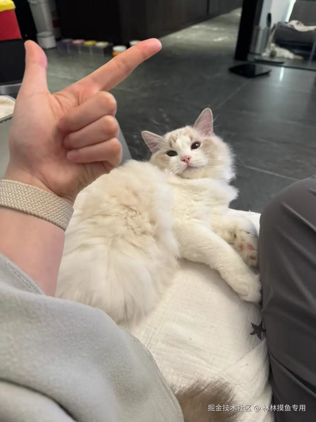 林林摸鱼专用于2024-09-27 09:46发布的图片