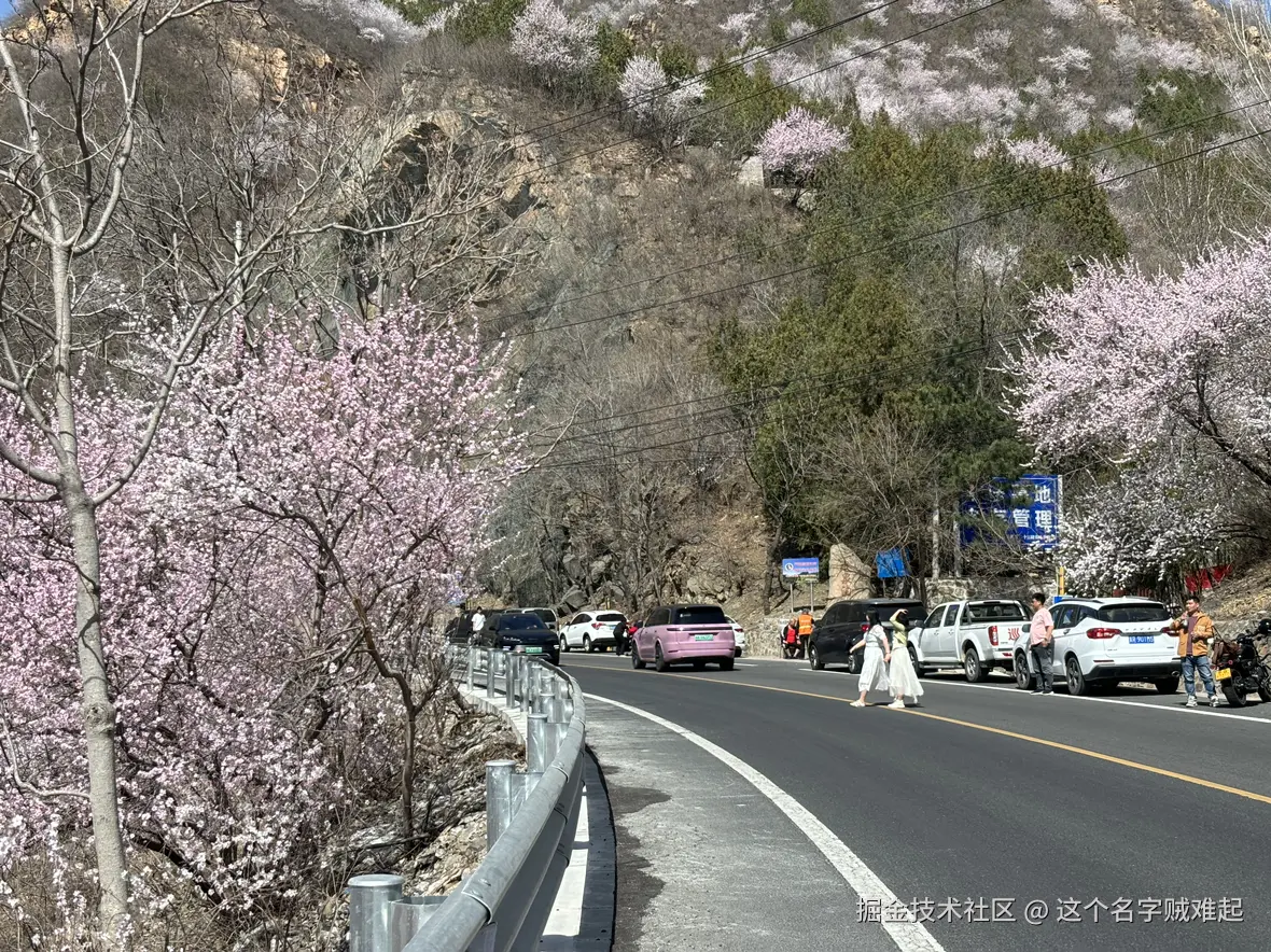 这个名字贼难起于2025-03-28 09:15发布的图片