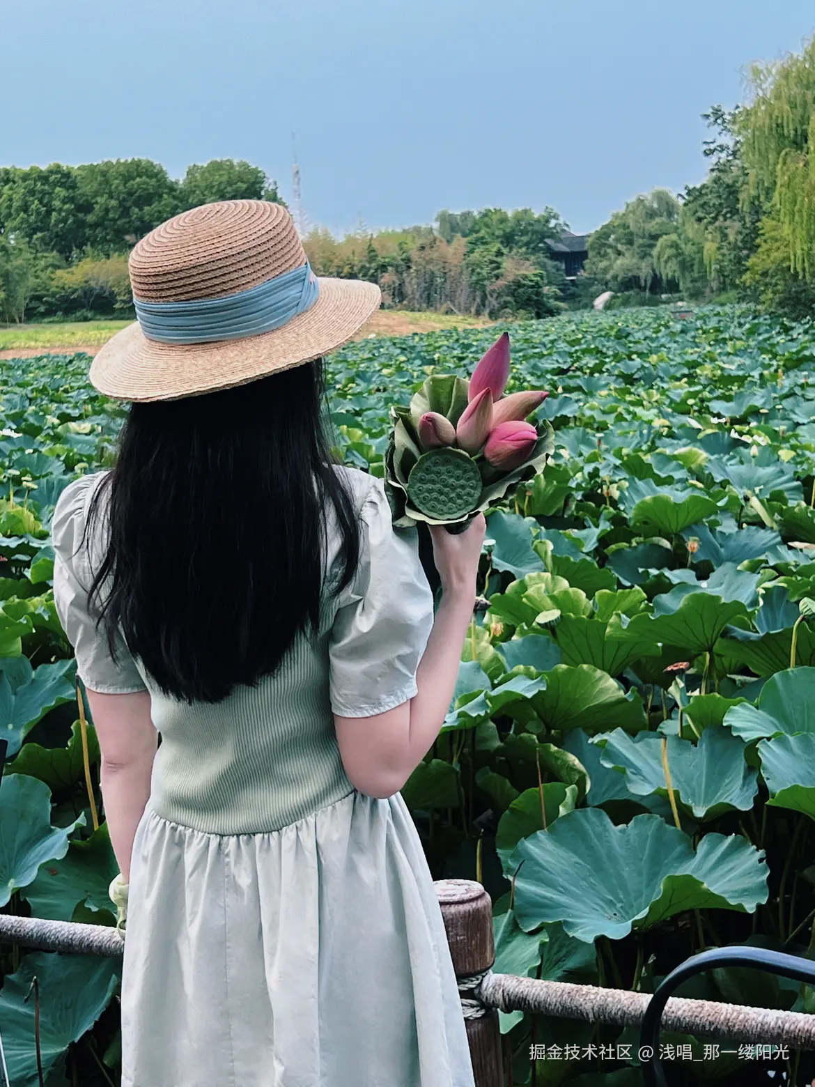 浅唱_那一缕阳光于2025-08-12 01:37发布的图片