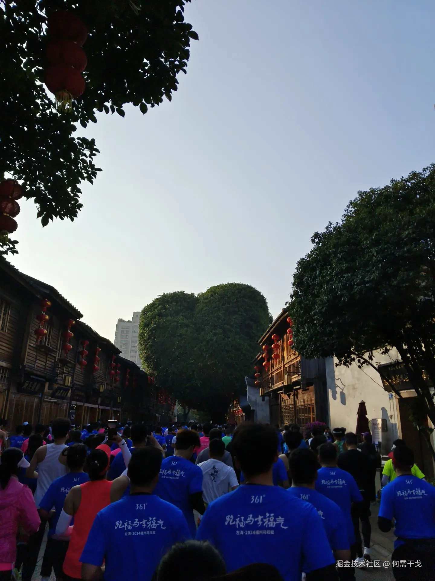 何需干戈于2024-12-17 20:32发布的图片