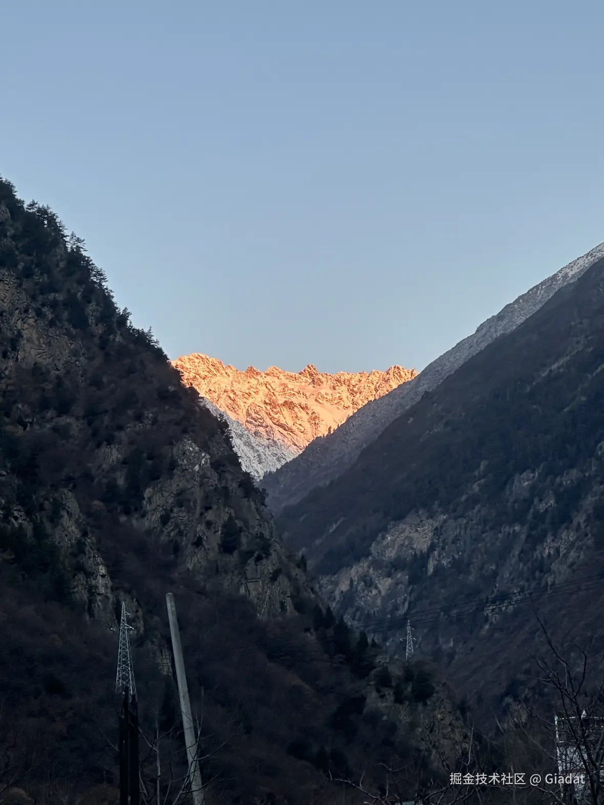 Giadat于2024-12-02 10:48发布的图片