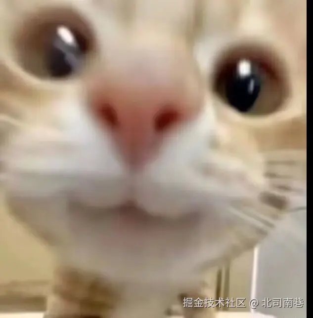 北司南巷于2025-06-20 21:45发布的图片