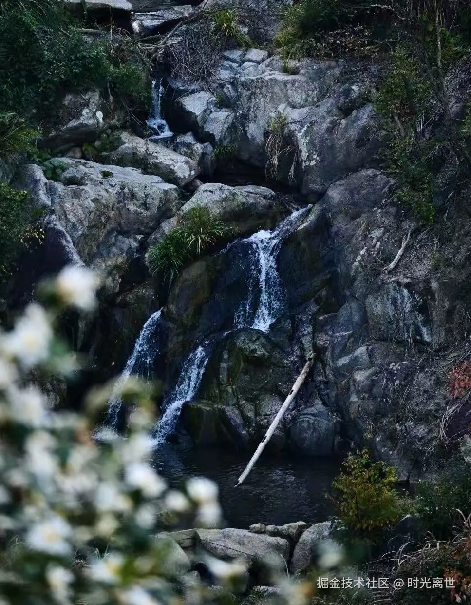 时光离世于2025-12-01 10:34发布的图片