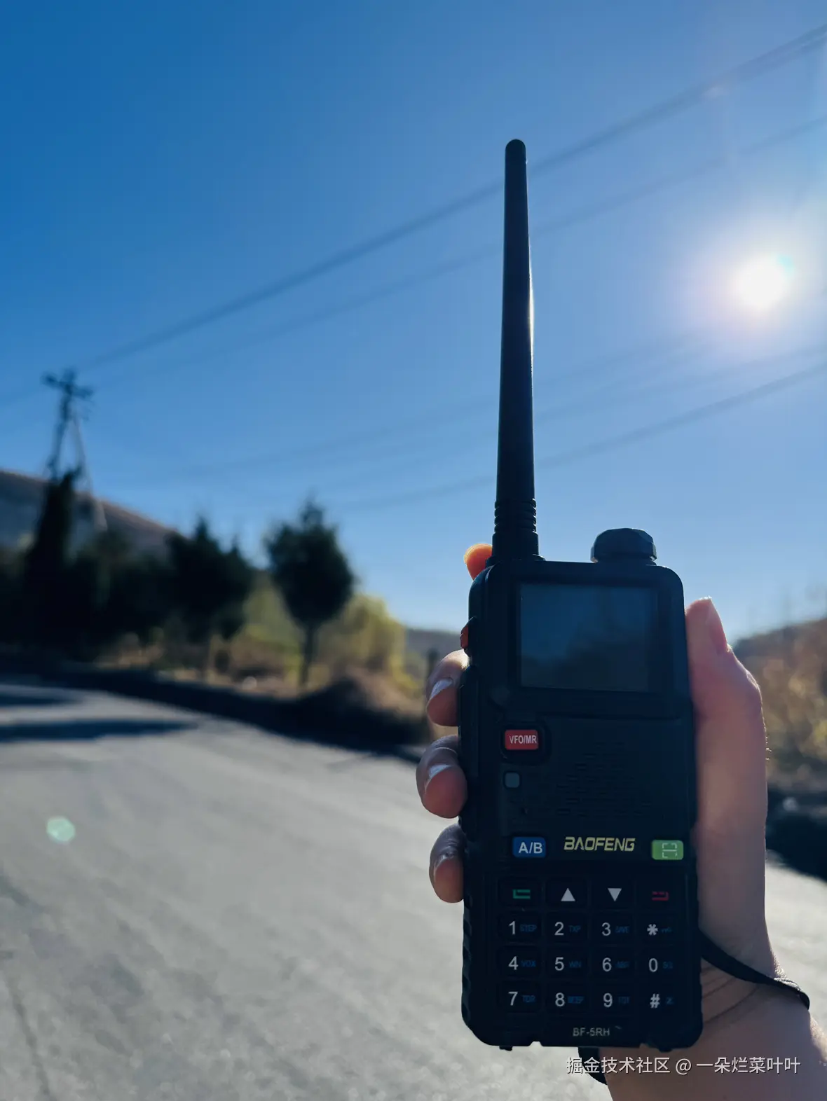 一朵烂菜叶叶于2025-11-13 10:04发布的图片