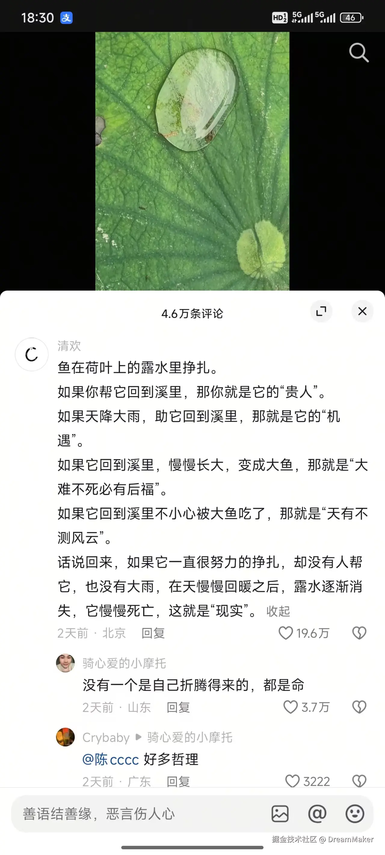 DreamMaker于2025-05-27 08:41发布的图片