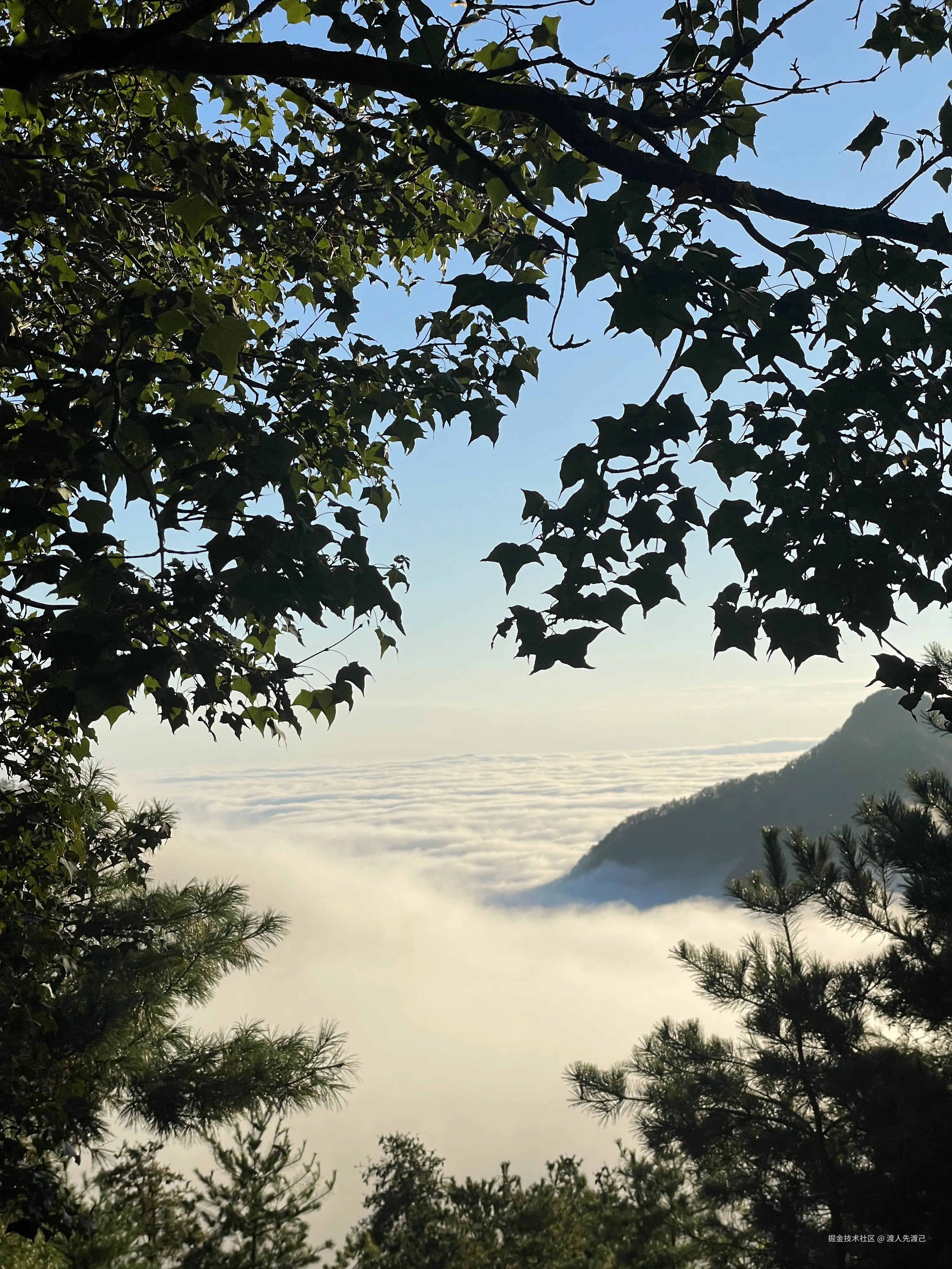 渡人先渡己于2025-10-31 10:05发布的图片