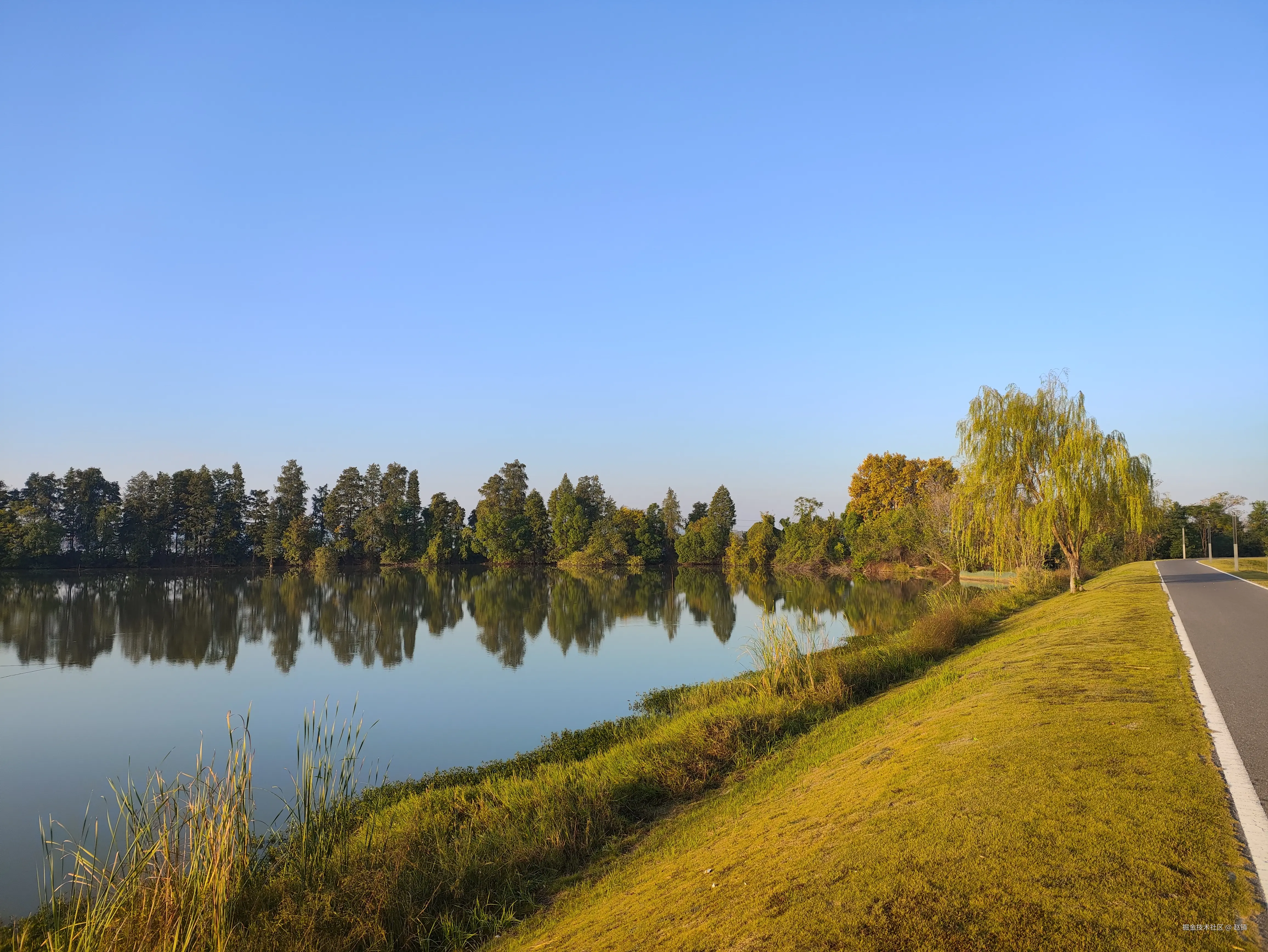 赵镇于2024-10-25 10:03发布的图片