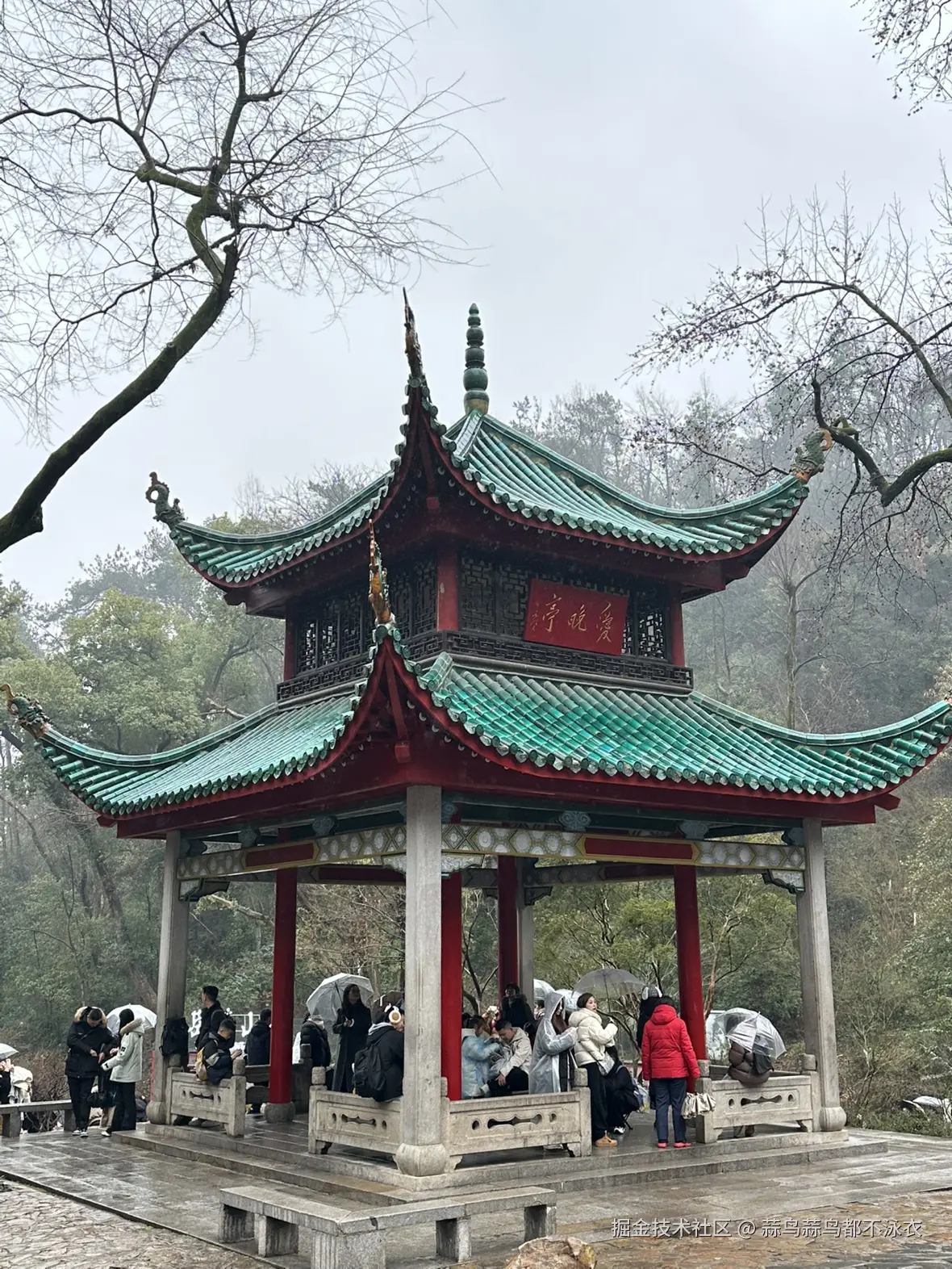 蒜鸟蒜鸟都不泳衣于2026-02-11 10:48发布的图片