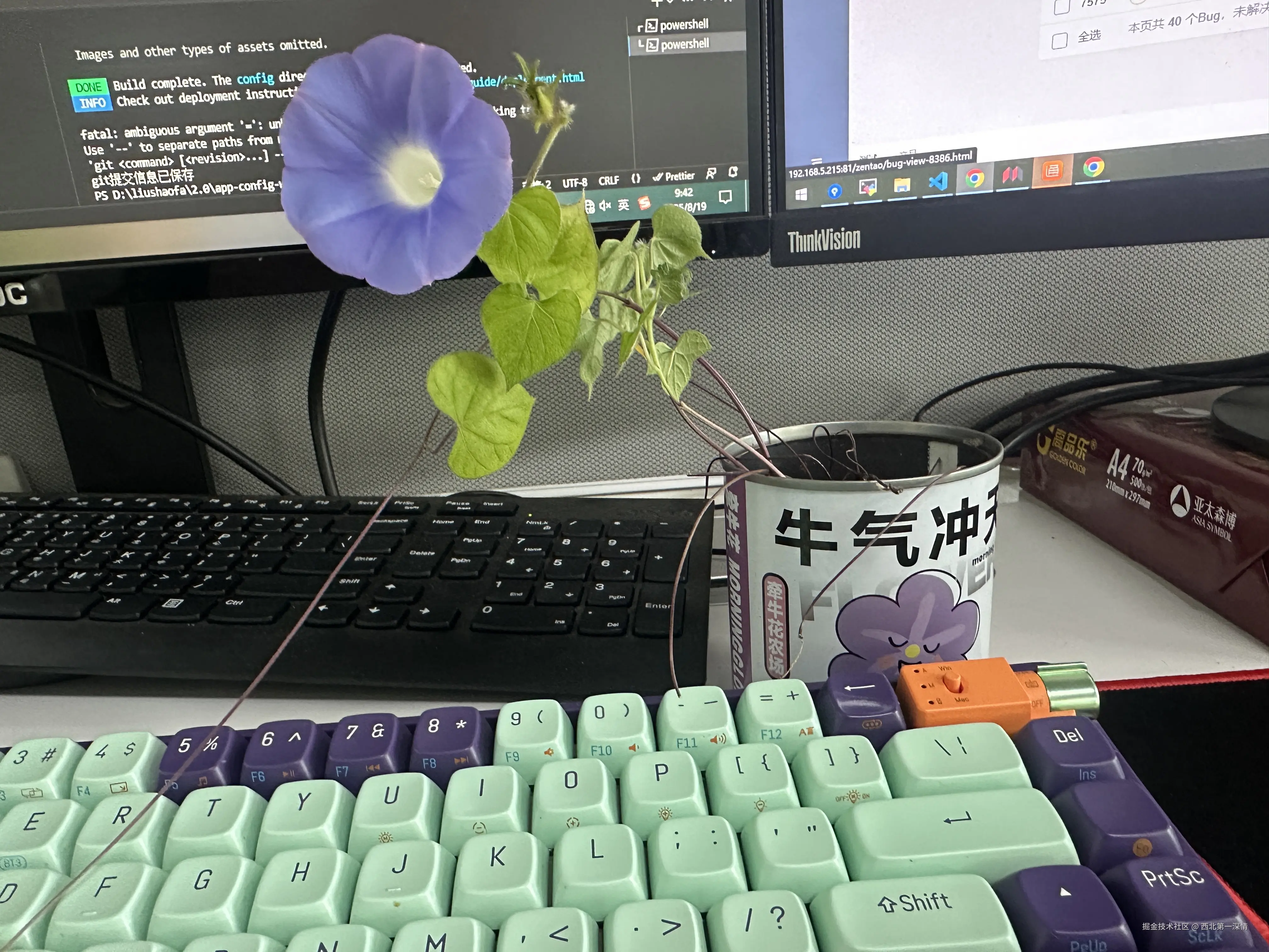 西北第一深情于2025-08-19 10:26发布的图片