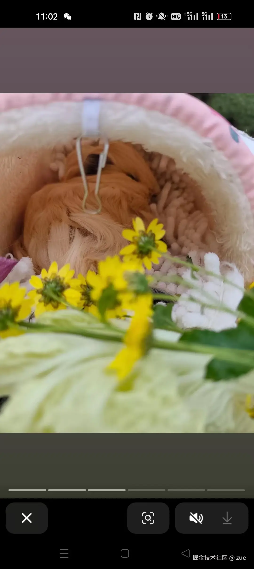 zue于2025-11-10 11:29发布的图片