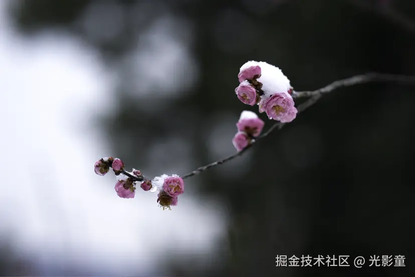 光影童于2026-01-21 11:03发布的图片