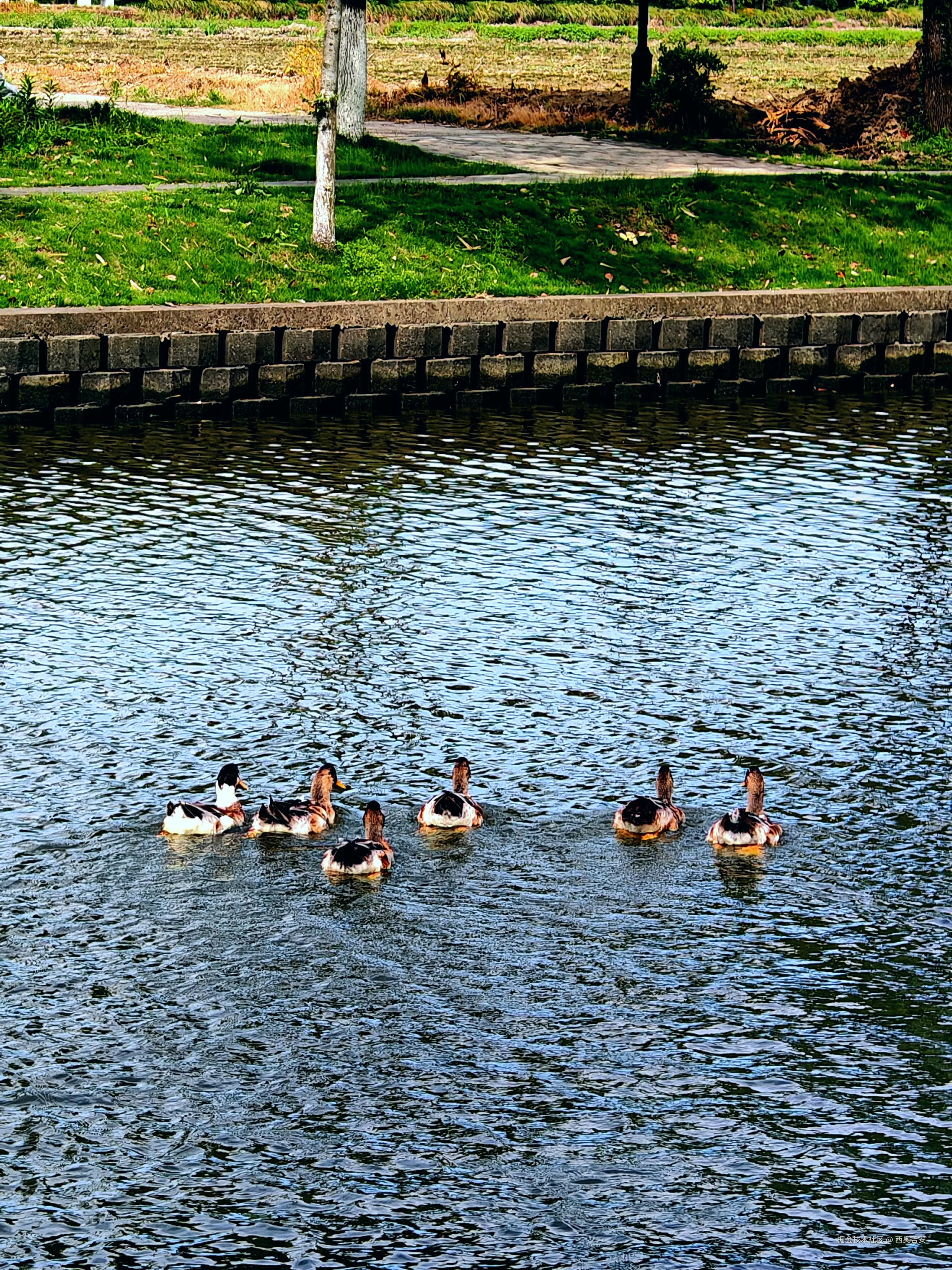 西奥吉安于2025-06-23 18:29发布的图片