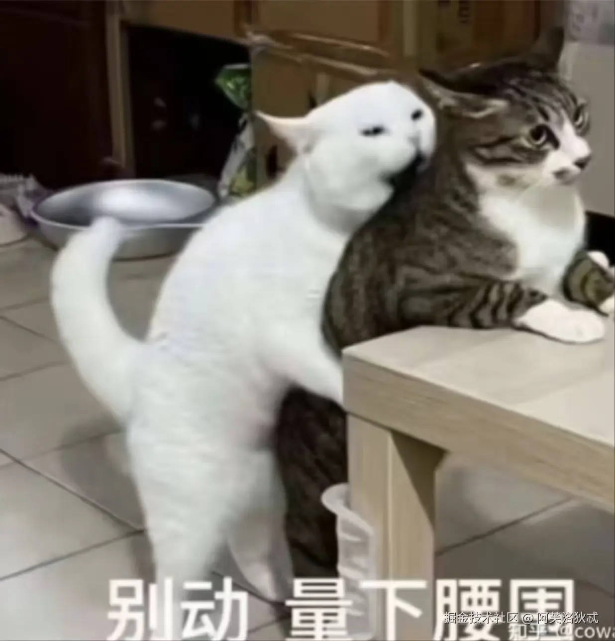 阿芙洛狄忒于2025-11-06 12:12发布的图片