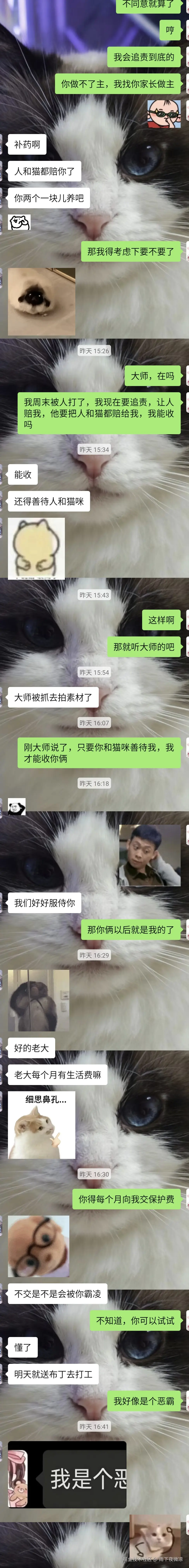 雨下夜微凉于2026-04-08 08:48发布的图片