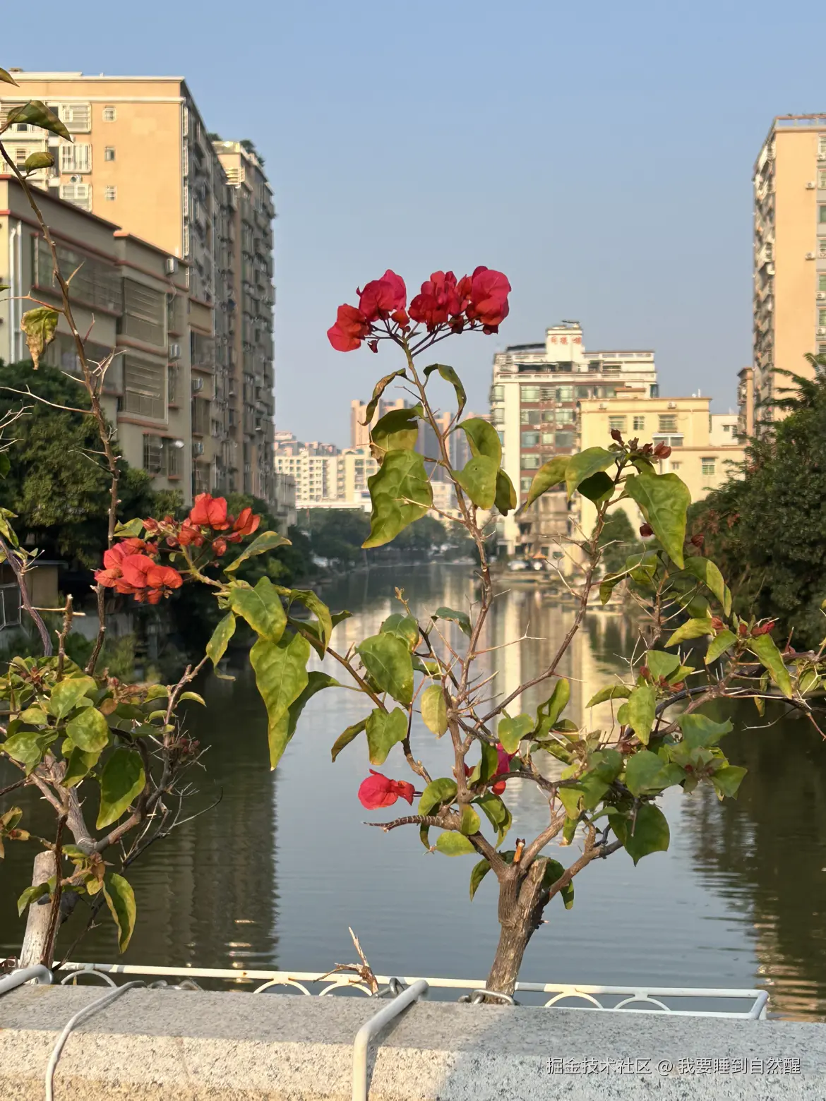 我要睡到自然醒于2025-12-22 09:55发布的图片