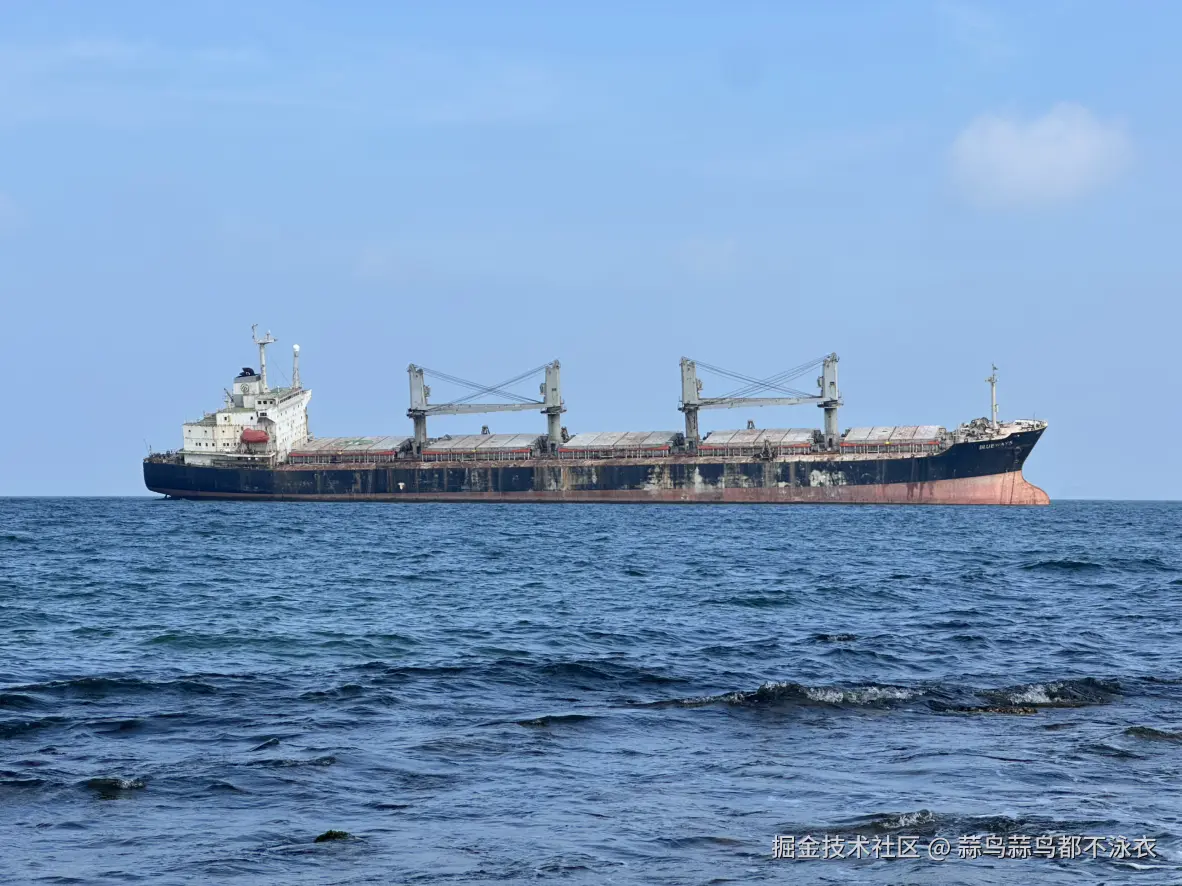 蒜鸟蒜鸟都不泳衣于2025-10-09 11:59发布的图片