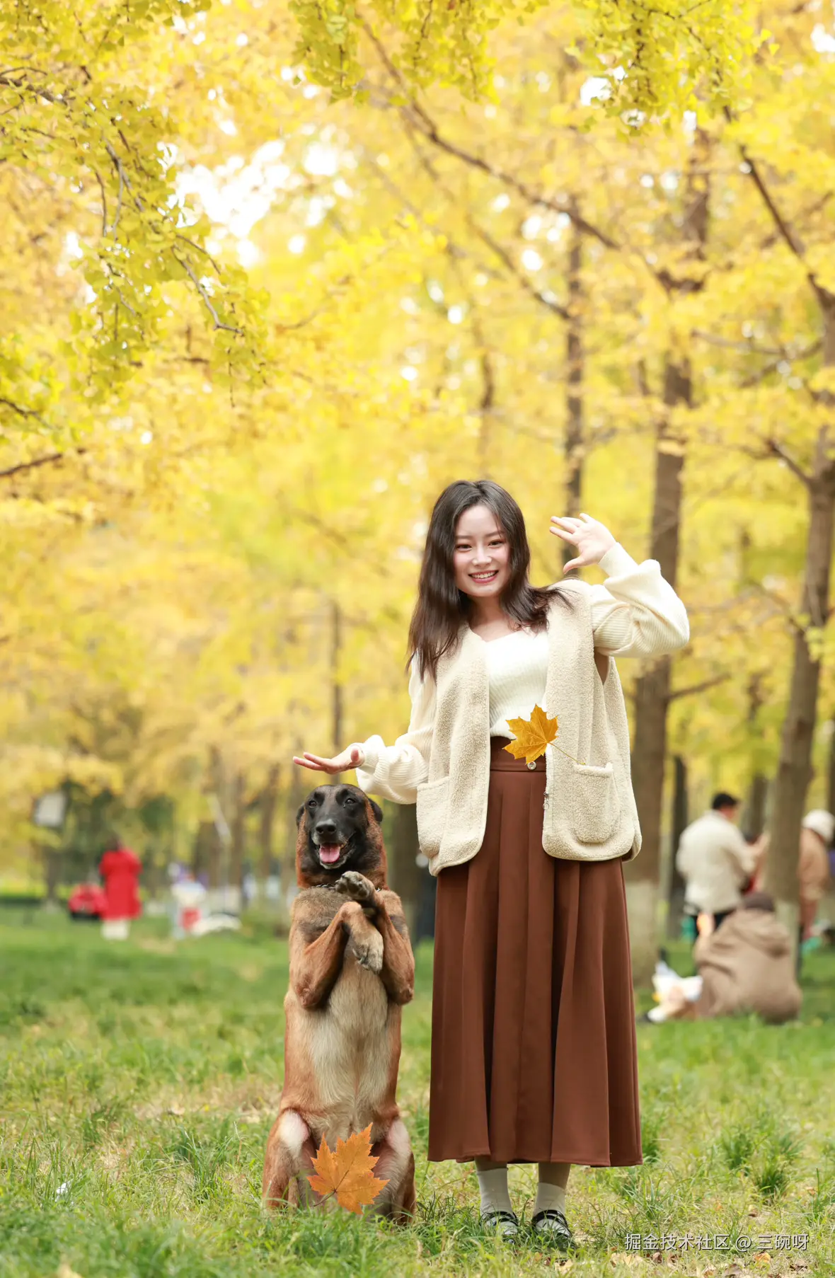 三碗呀于2024-11-25 11:11发布的图片