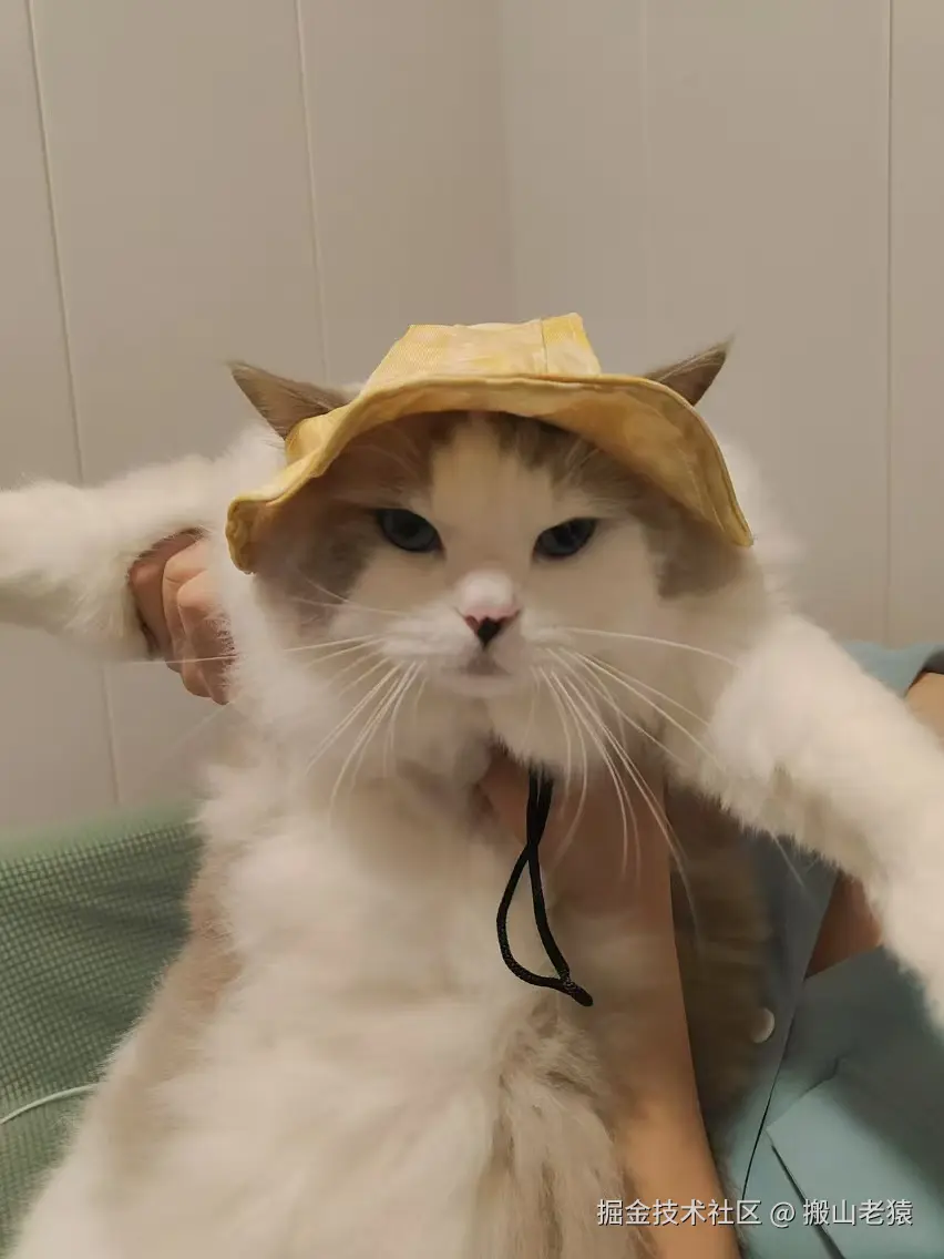 搬山老猿于2024-09-14 11:46发布的图片