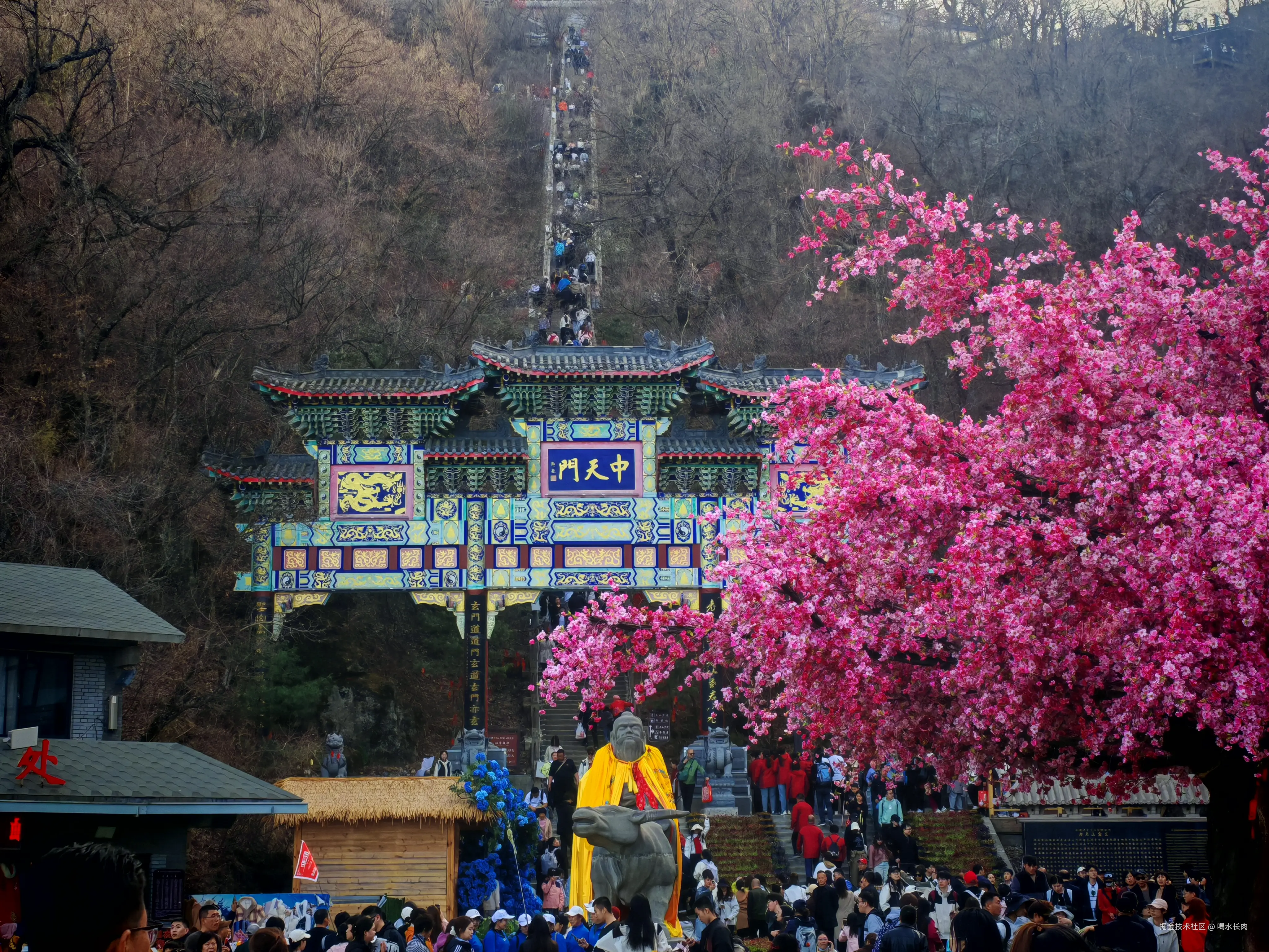 喝水长肉于2025-04-07 17:22发布的图片