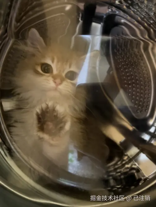 已注销于2025-03-11 11:23发布的图片