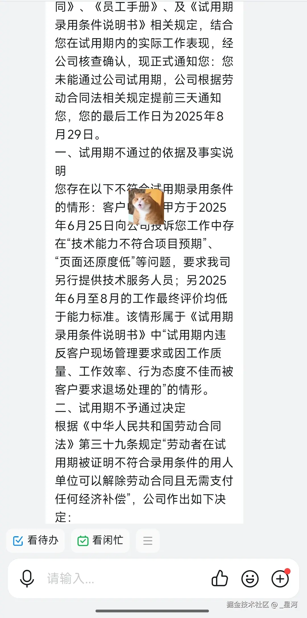 _星河于2025-08-27 01:53发布的图片