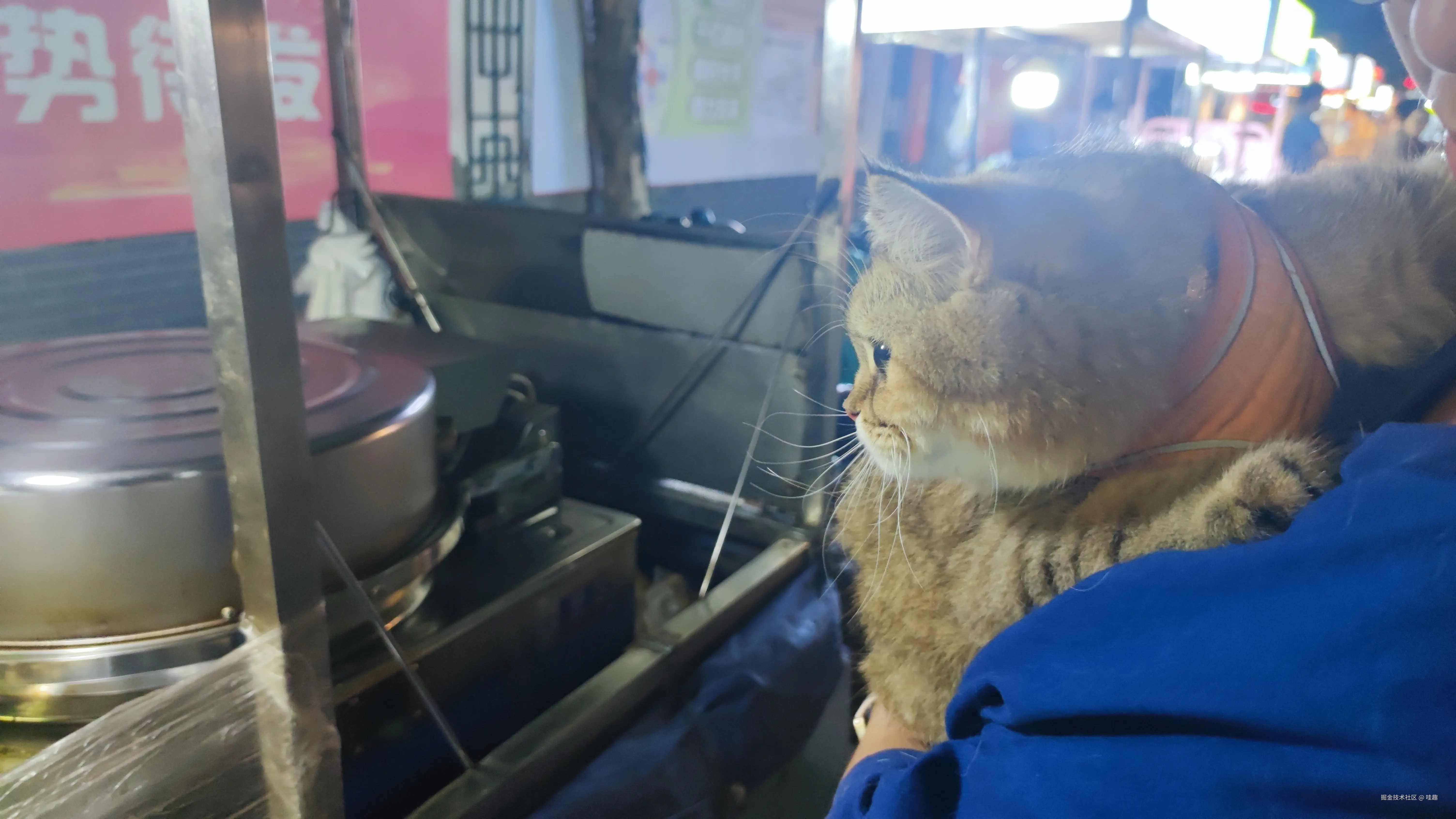 哇趣于2024-11-01 14:46发布的图片