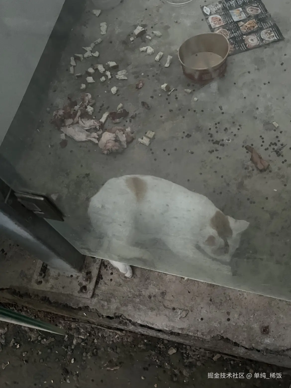 单纯_稀饭于2025-10-28 08:29发布的图片