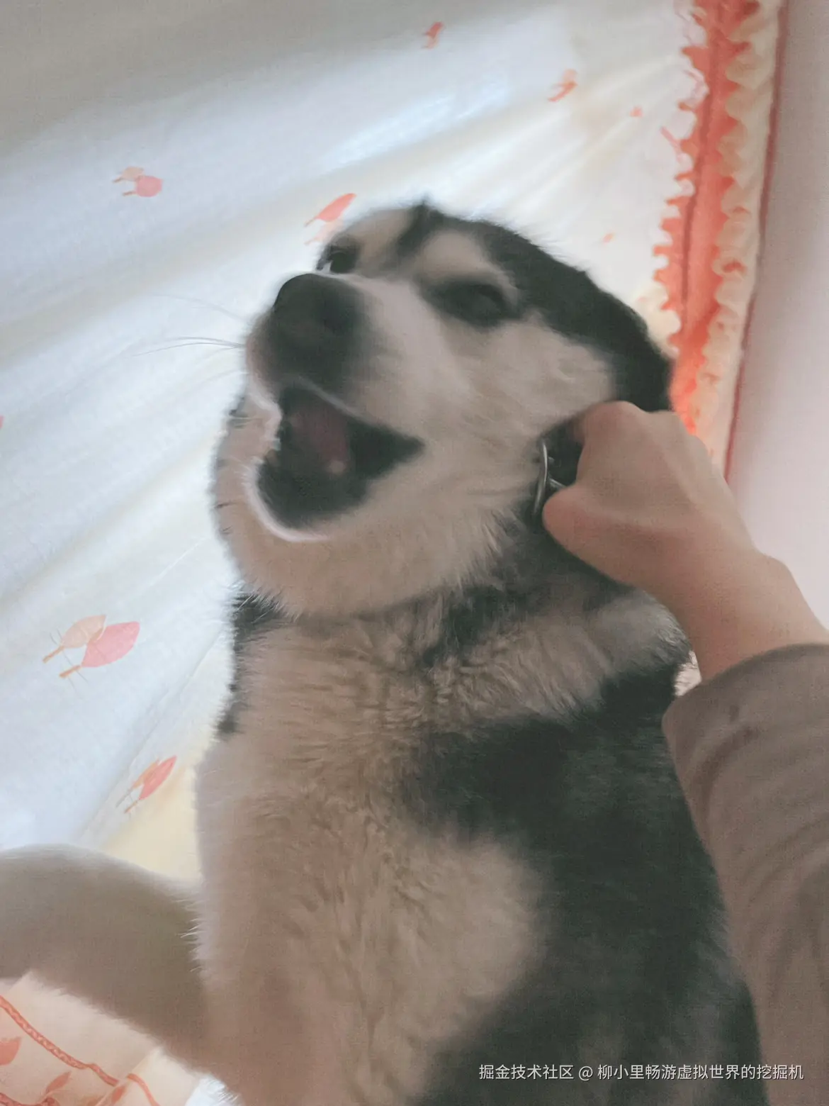 柳小里畅游虚拟世界的挖掘机于2025-11-27 10:58发布的图片