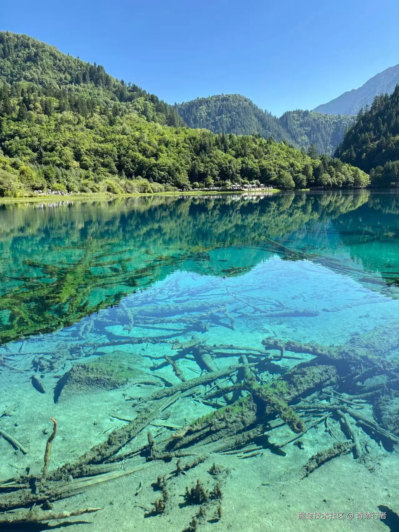 奇跡行者于2025-08-18 14:48发布的图片