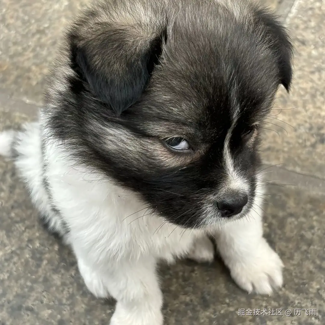 历飞雨于2025-11-28 09:30发布的图片