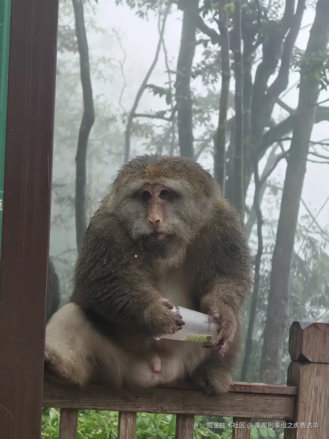 重案刑事组之虎曹达华于2025-12-09 02:01发布的图片