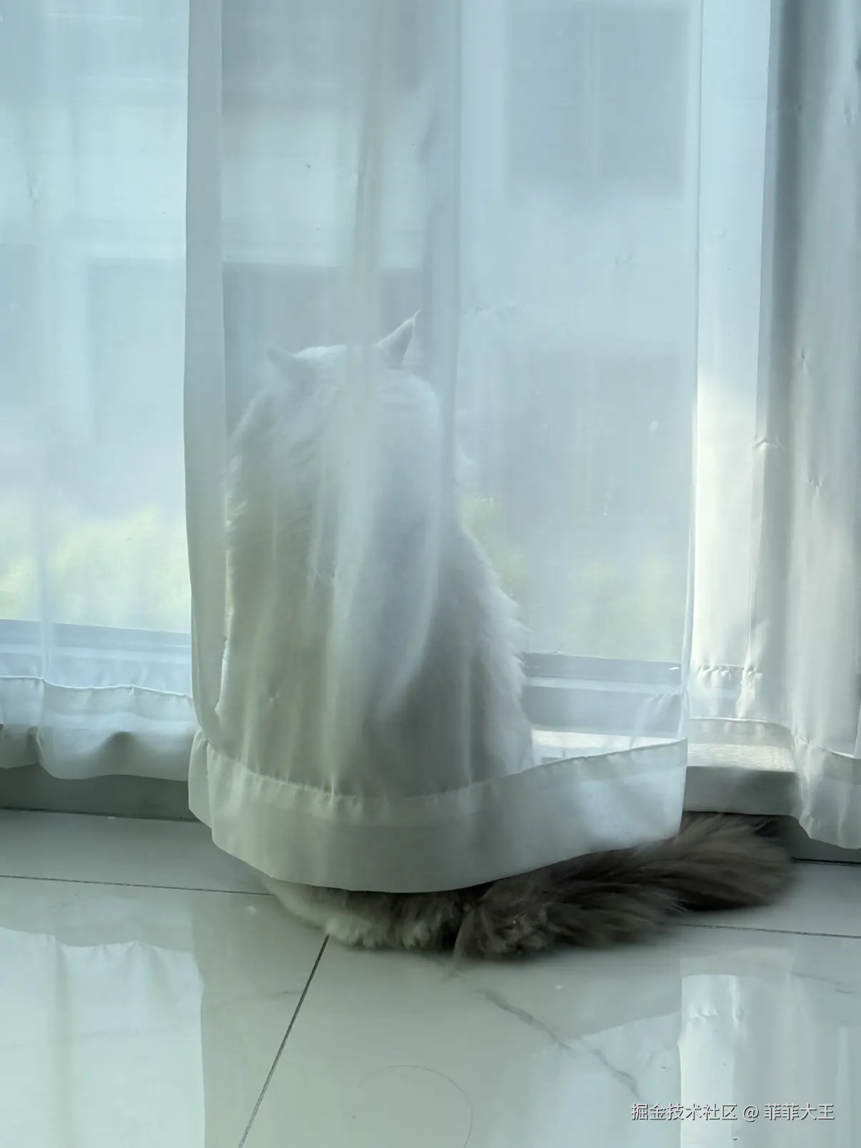 菲菲大王于2025-11-18 11:09发布的图片