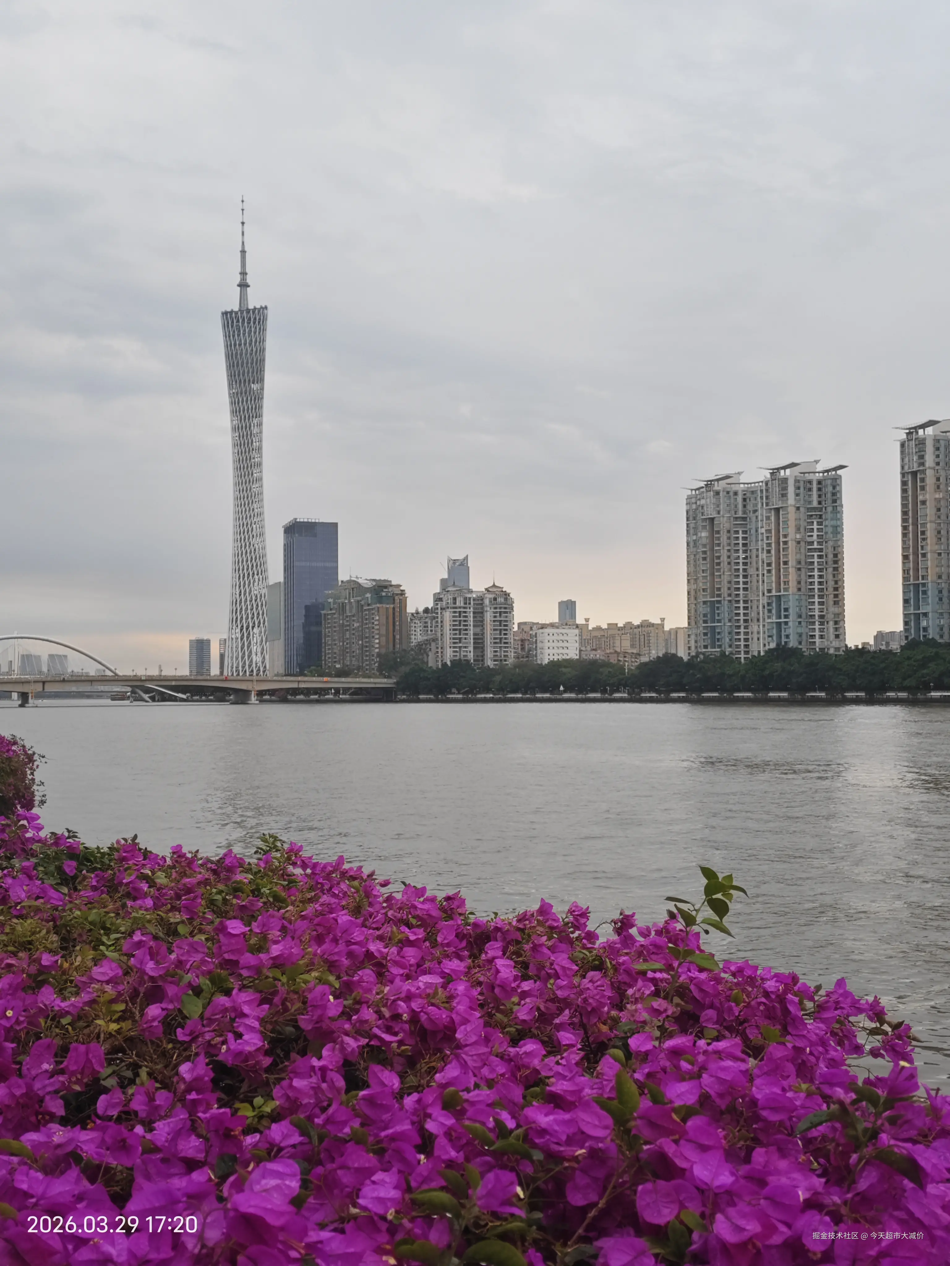 今天超市大减价于2026-03-31 10:50发布的图片