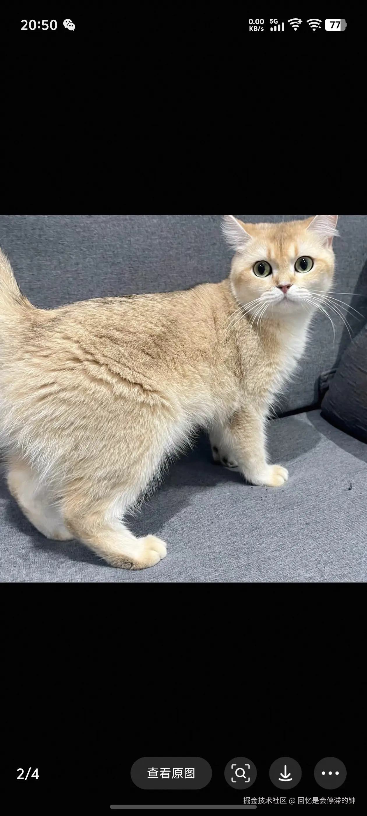 回忆是会停滞的钟于2025-11-24 09:21发布的图片