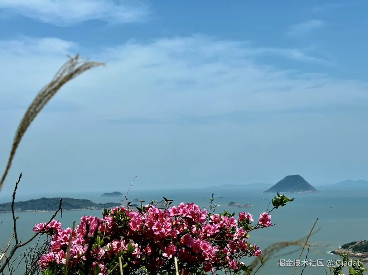 Giadat于2025-04-07 11:54发布的图片