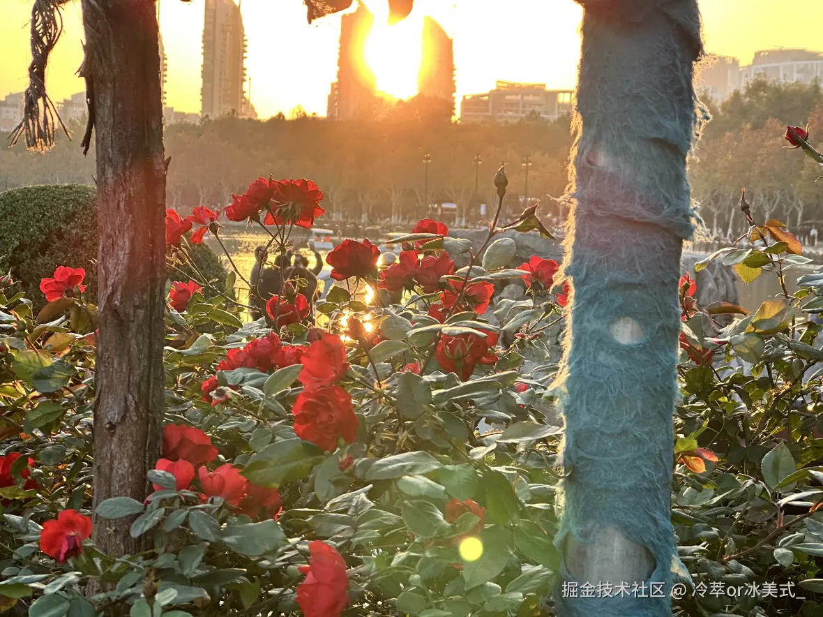 冷萃or冰美式_于2024-12-02 13:09发布的图片