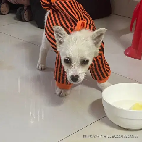 user6230139333383于2025-12-27 06:15发布的图片