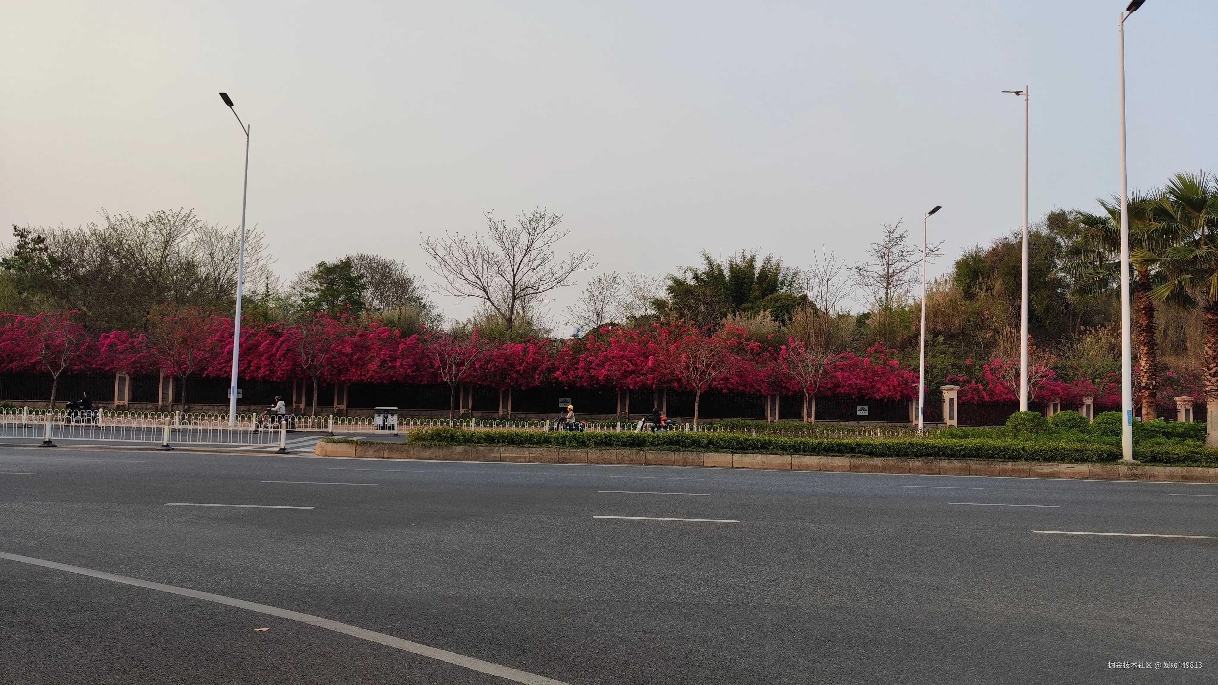 媛媛啊9813于2025-03-21 07:07发布的图片