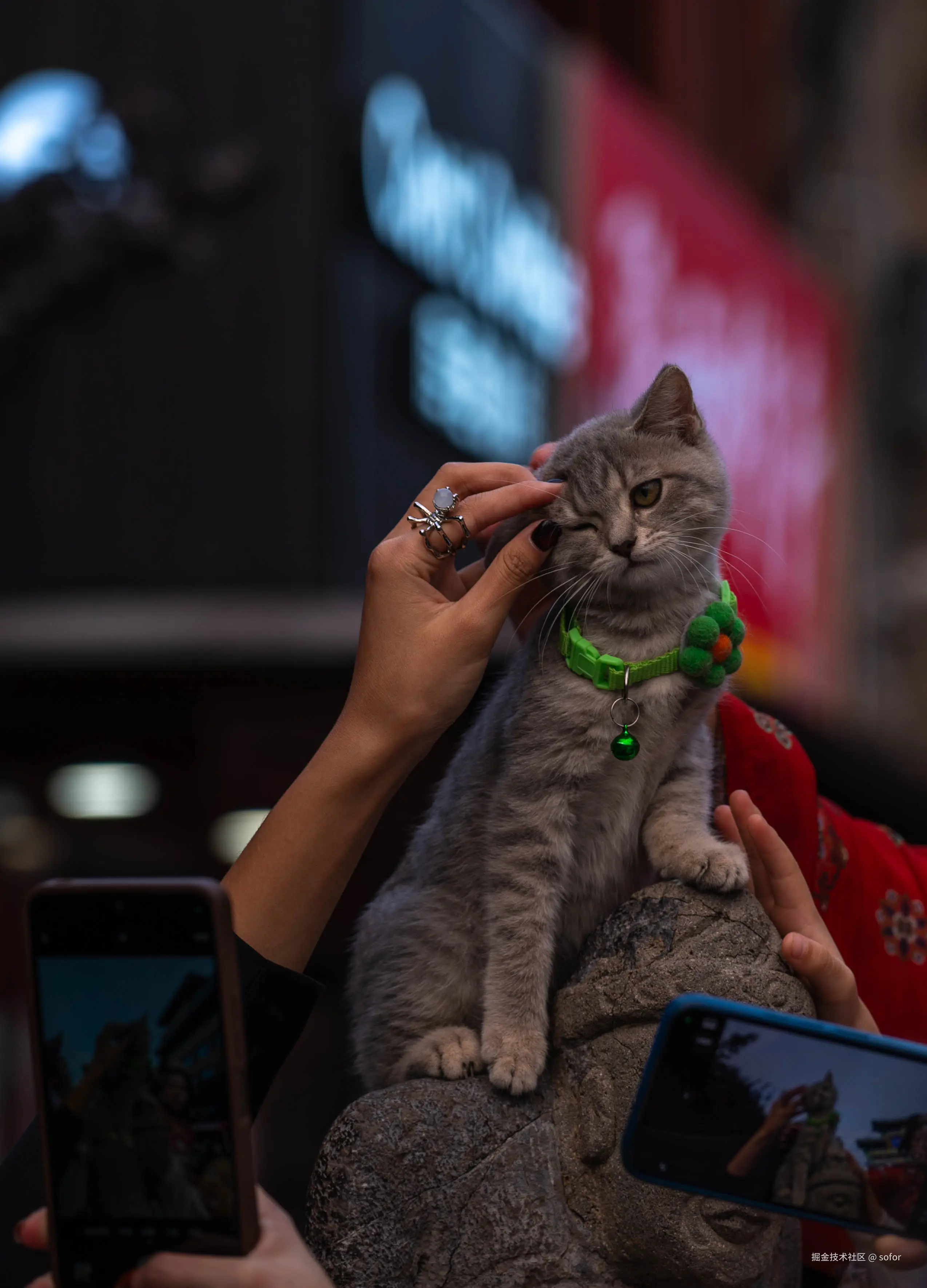 sofor于2025-10-10 11:40发布的图片