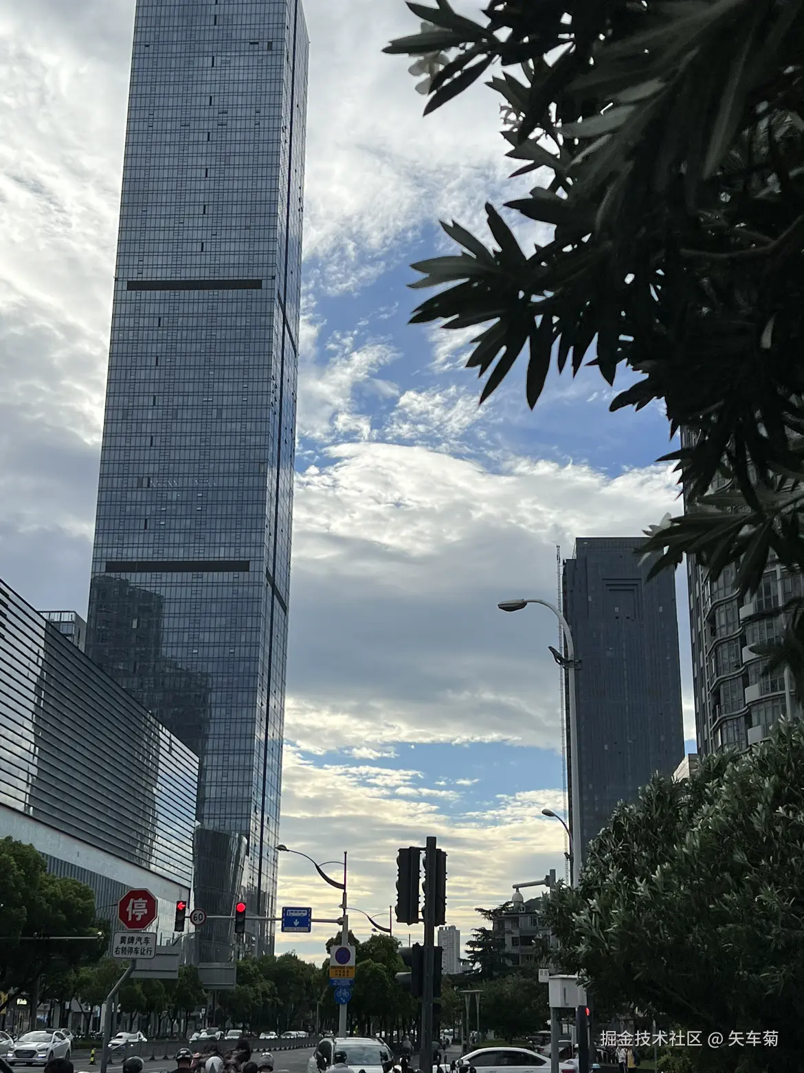 矢车菊于2024-07-28 11:31发布的图片