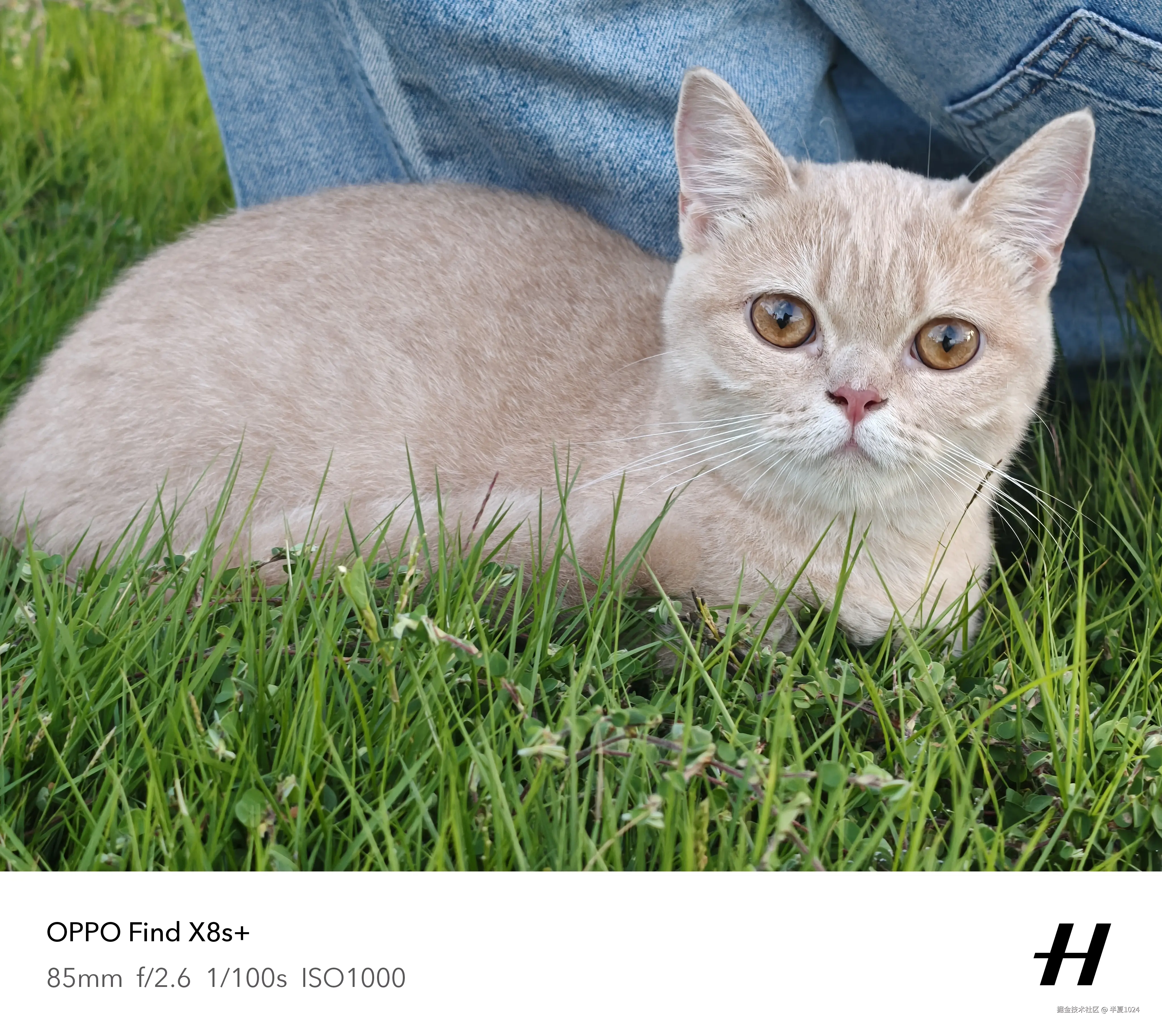 半夏1024于2025-06-23 09:42发布的图片