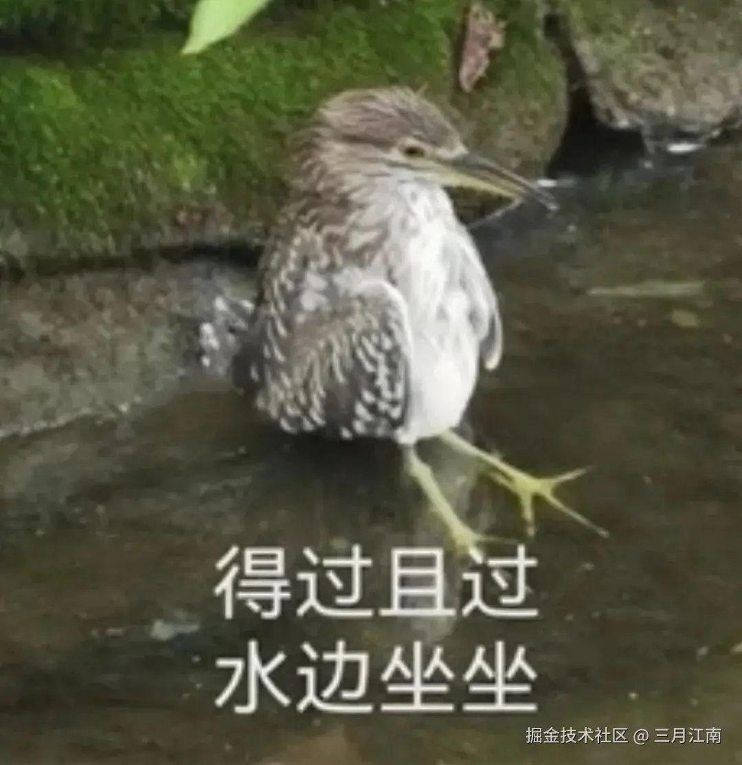 三月江南于2026-07-03 02:36发布的图片
