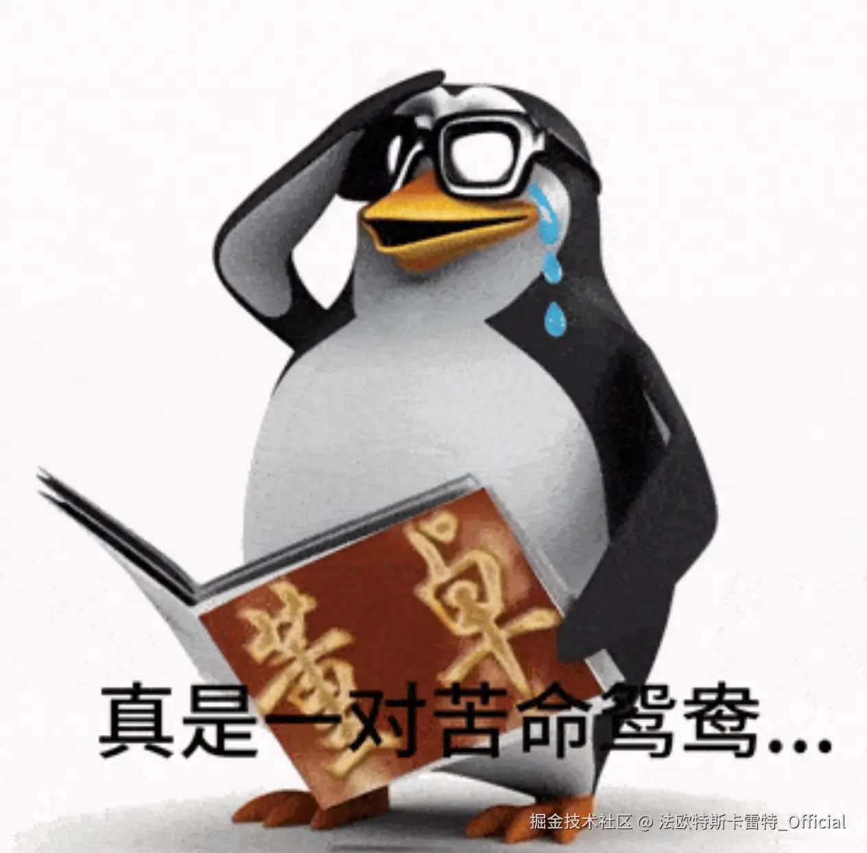 法欧特斯卡雷特_Official于2025-10-30 00:25发布的图片